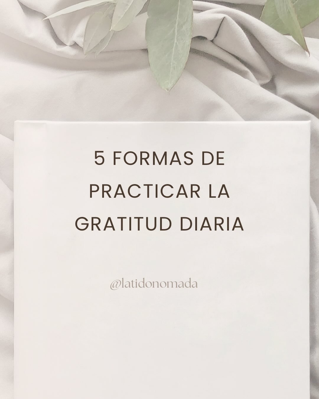 Hoy, encuentra 5 cosas peque&ntilde;as y agrad&eacute;celas de verdad.
Ah&iacute; empieza la abundancia. ✨🌱