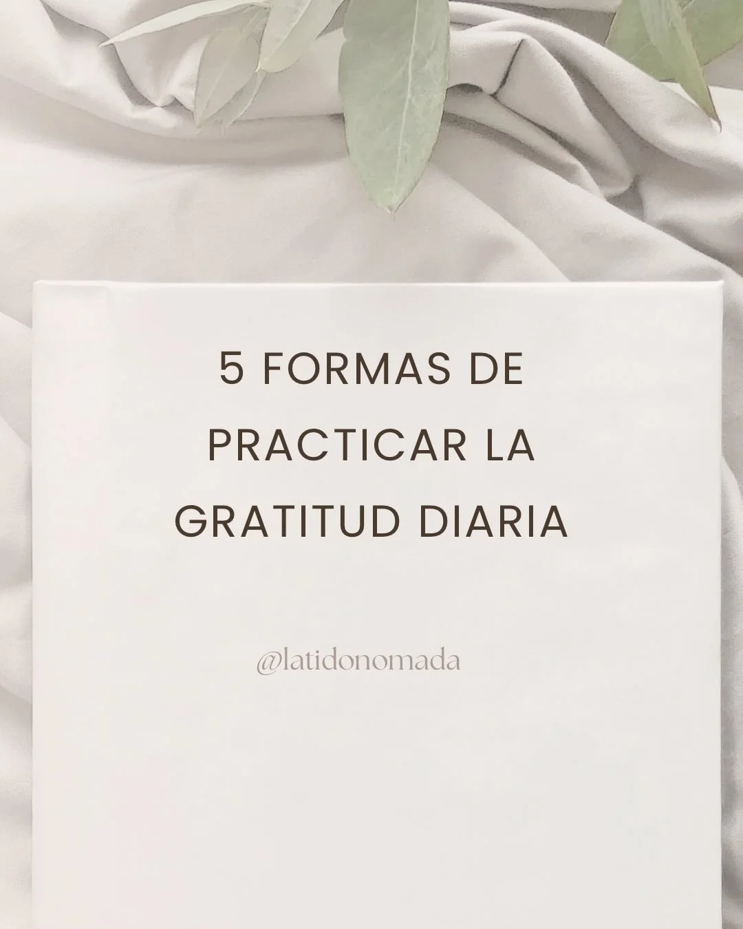 Hoy, encuentra 5 cosas peque&ntilde;as y agrad&eacute;celas de verdad.
Ah&iacute; empieza la abundancia. ✨🌱