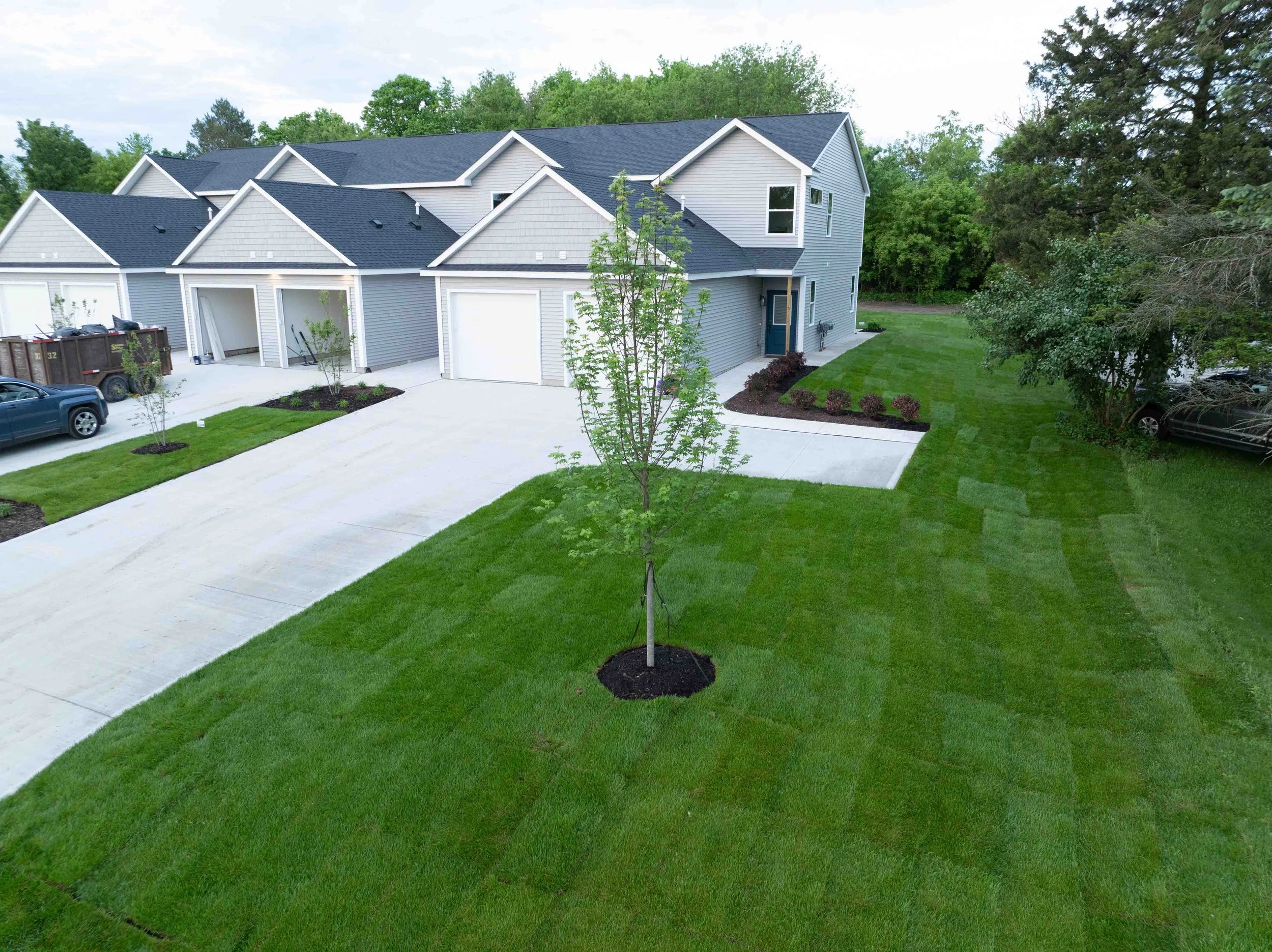 A newly installed sod in residential backyard with a young tree, freshly cut grass, a concrete driveway, and neighboring houses with garages.