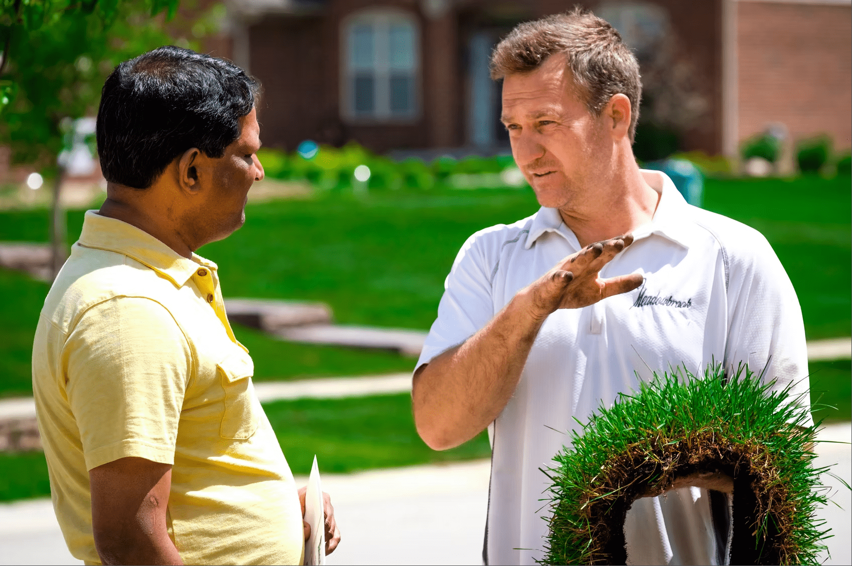 Two men talking outside, one holding a roll of sod in front of a completed residential sod installation showing full, even turf.
