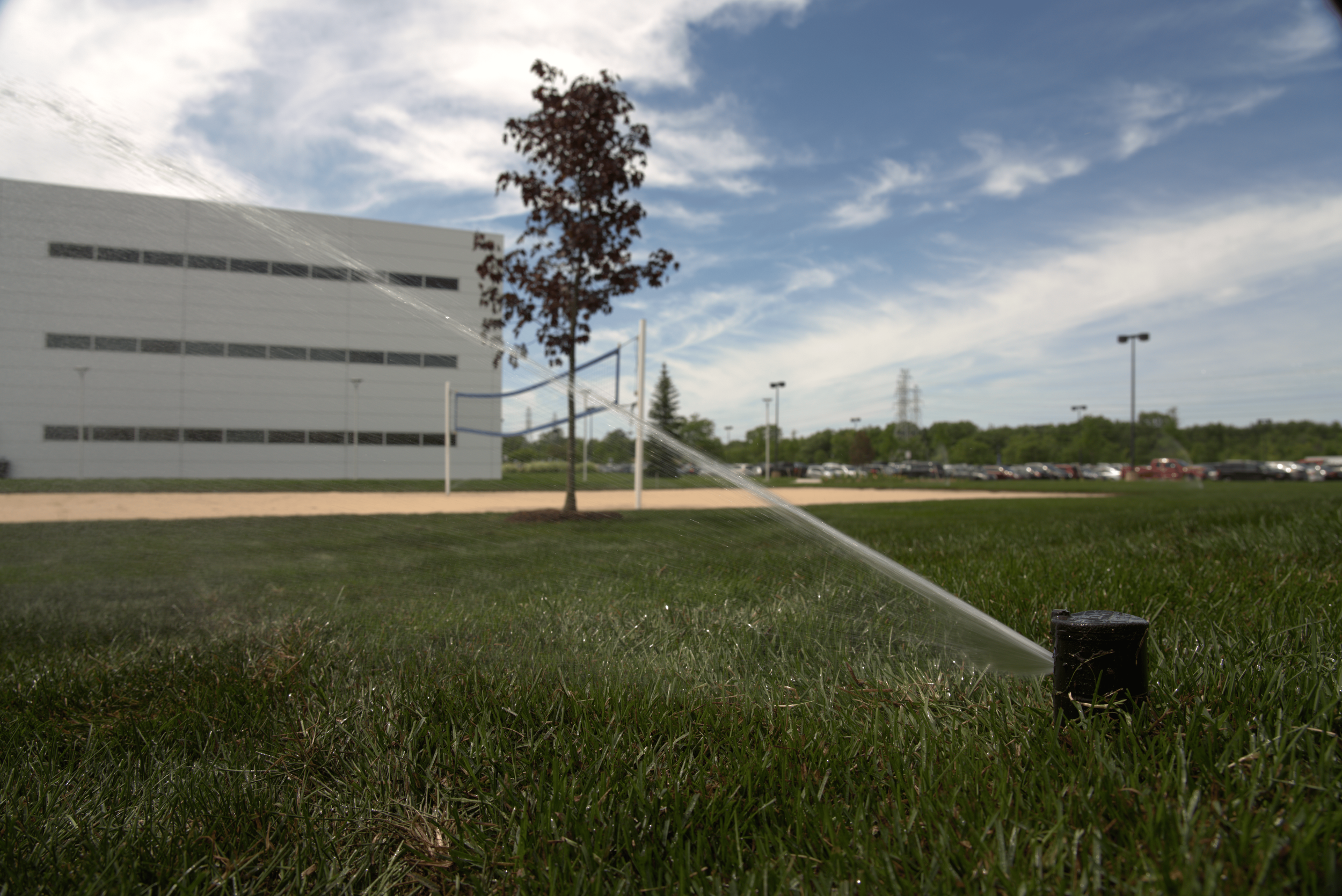 A sprinkler watering fresh kentucky bluegrass near a white building with a parking lot and trees in the background.