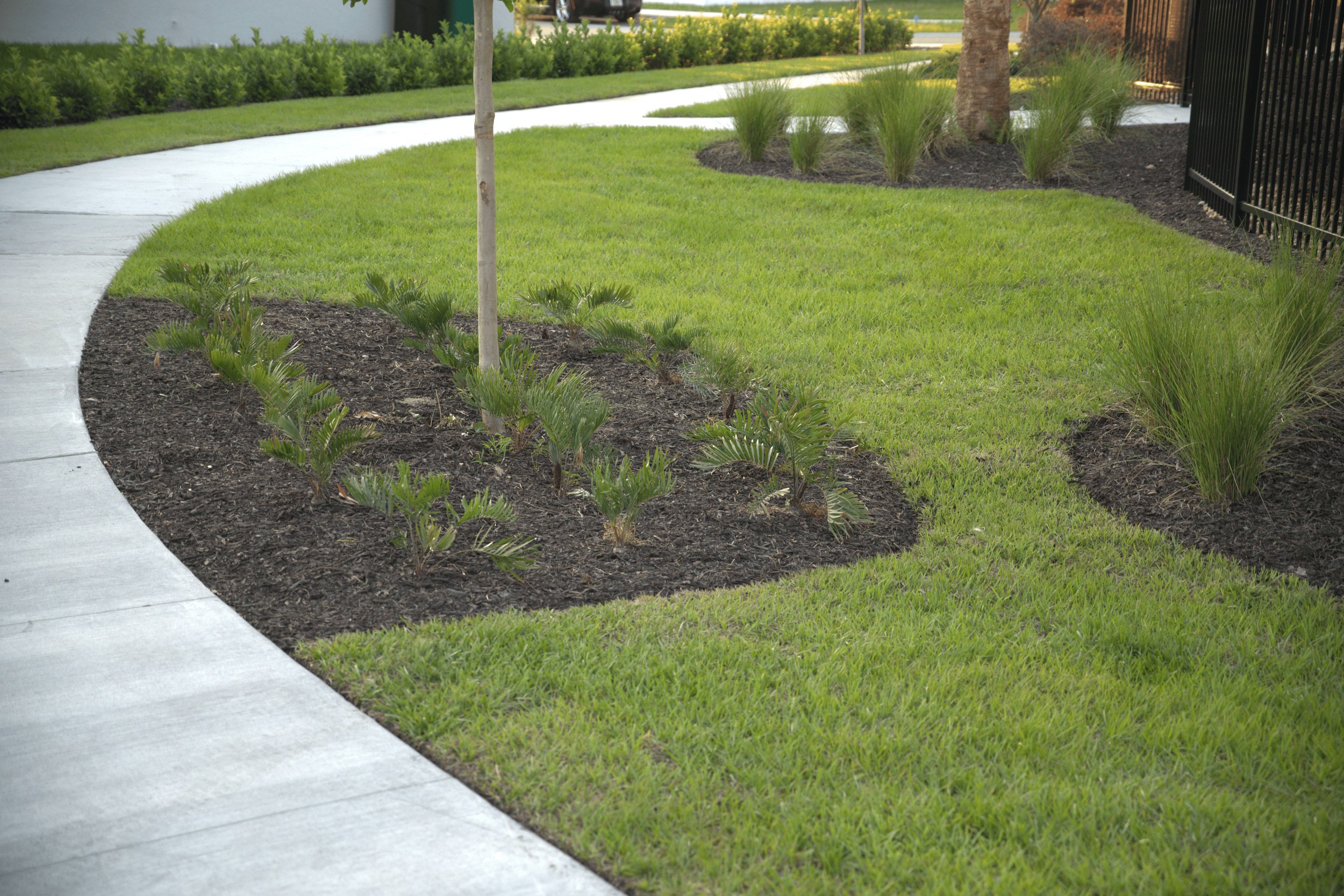 A sidewalk running through a commercial property with bright green grass, small plants, and trees, with a black fence in the background.