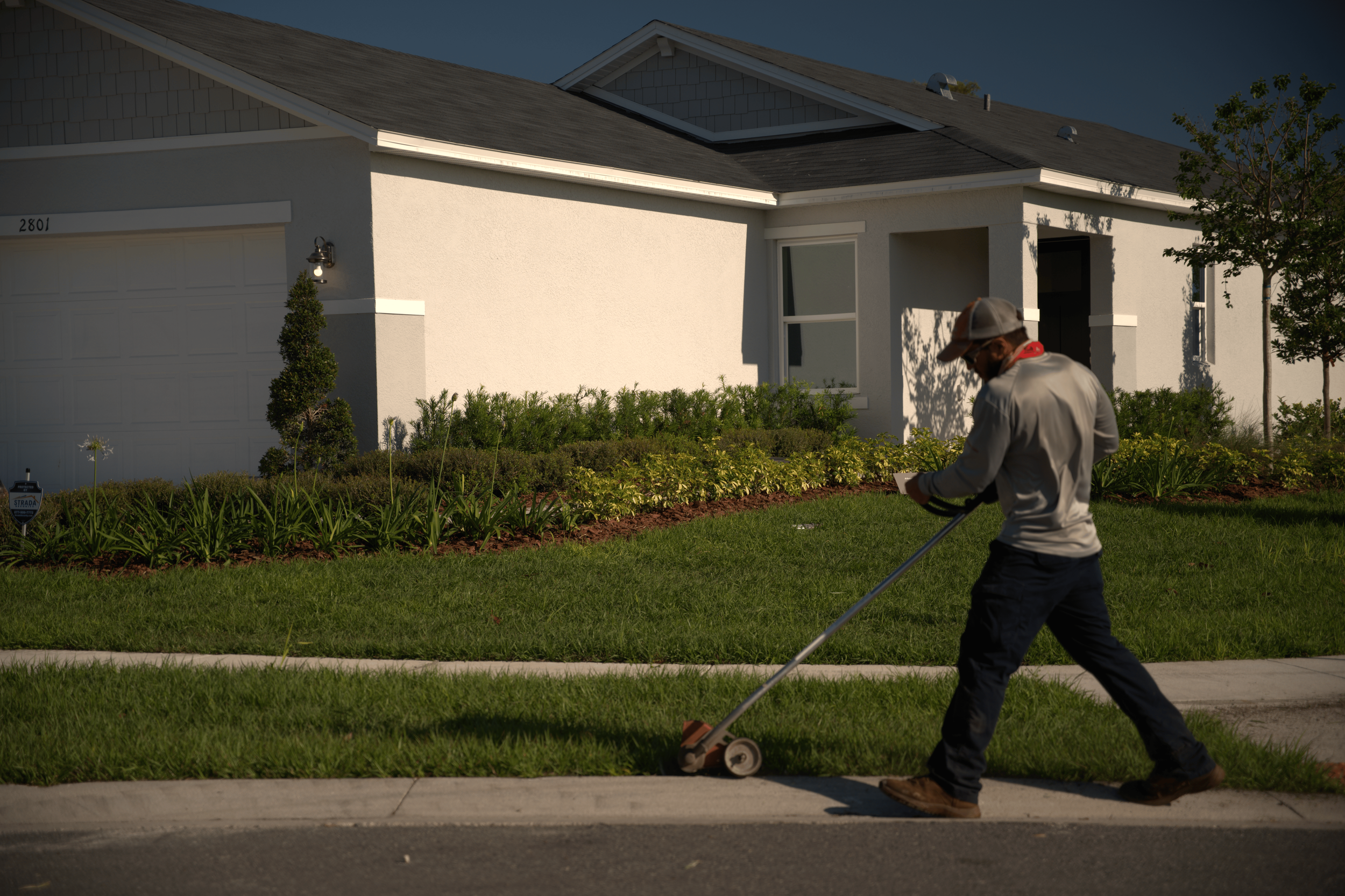 A man in gray shirt and dark pants walking on sidewalk while using a grass trimmer on recently installed residential sod near a new white house with a landscaped yard.