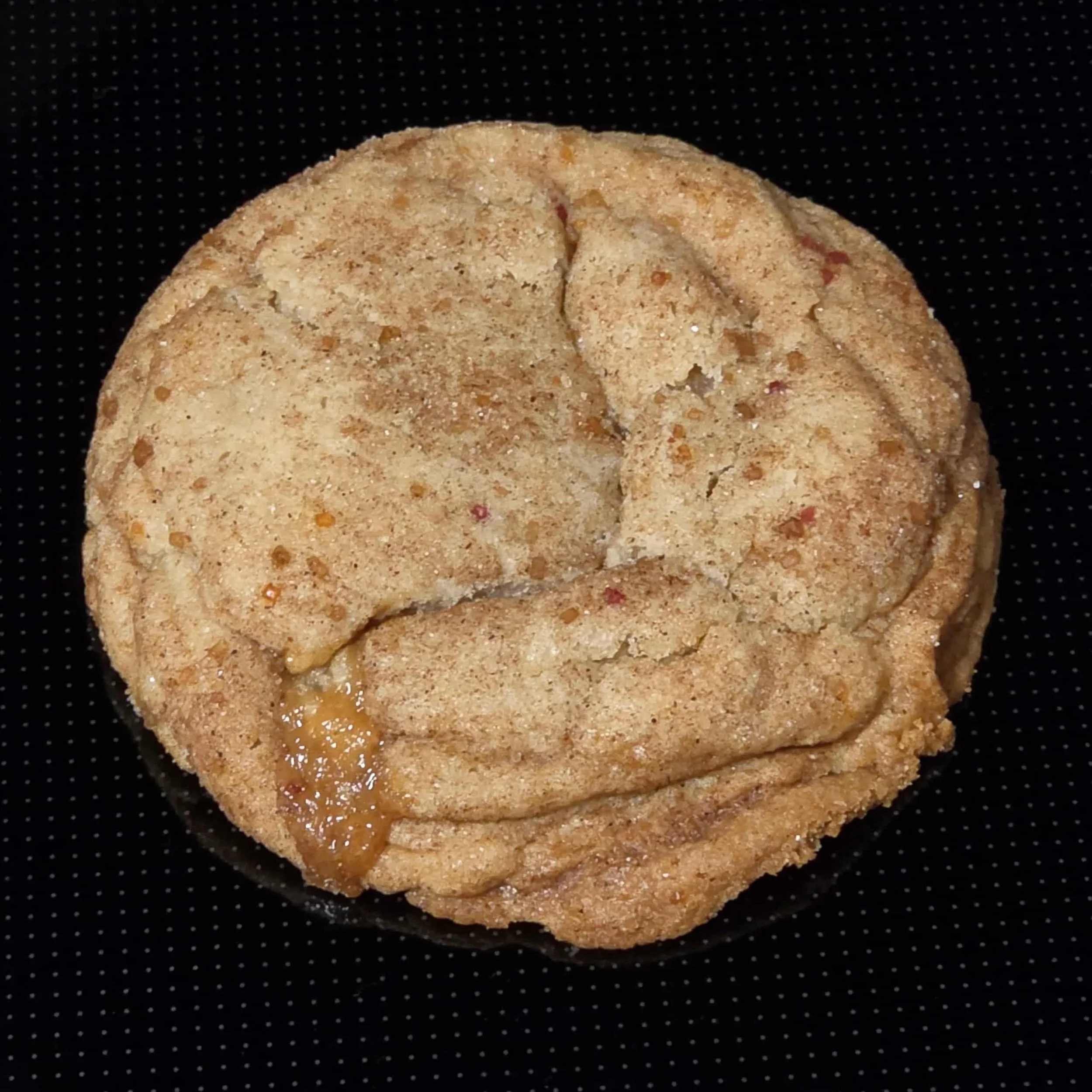 CA Snickerdoodle3.jpg