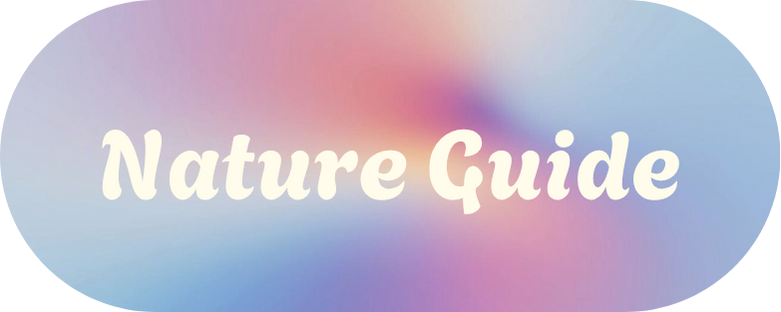 Nature Guide
