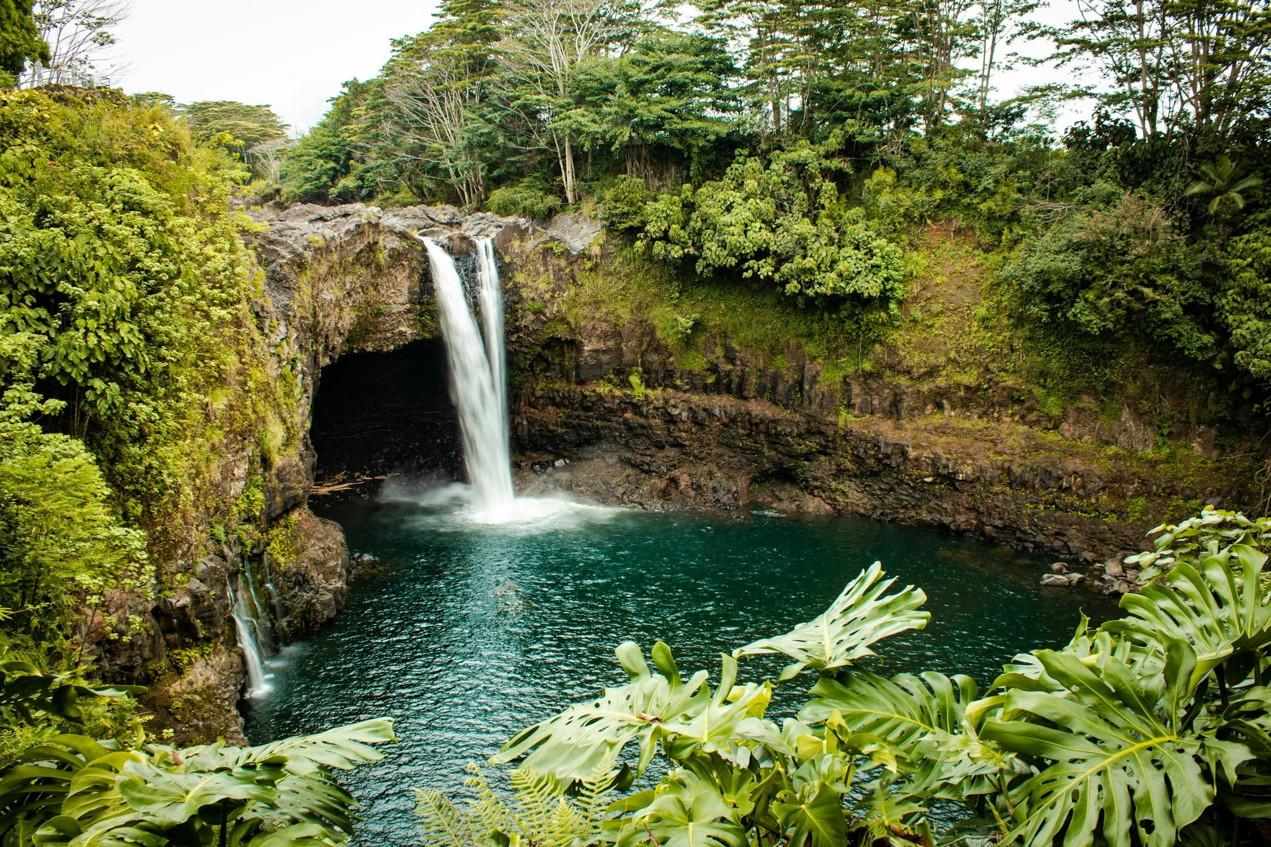 A waterfall flowing into a dark blue pool surrounded by lush green jungle vegetation.