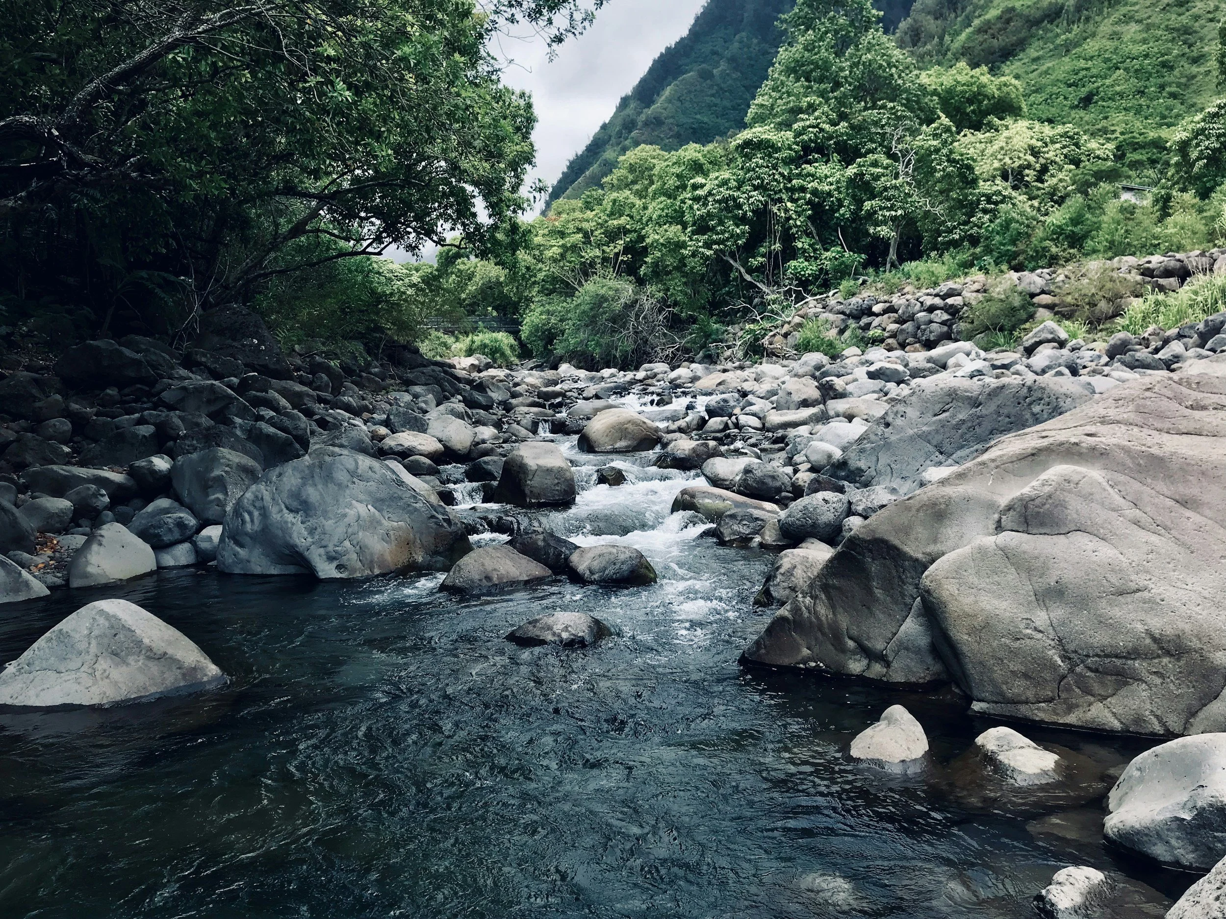 A rocky river flowing through a lush green forest with trees and hills in the background, under a cloudy sky.