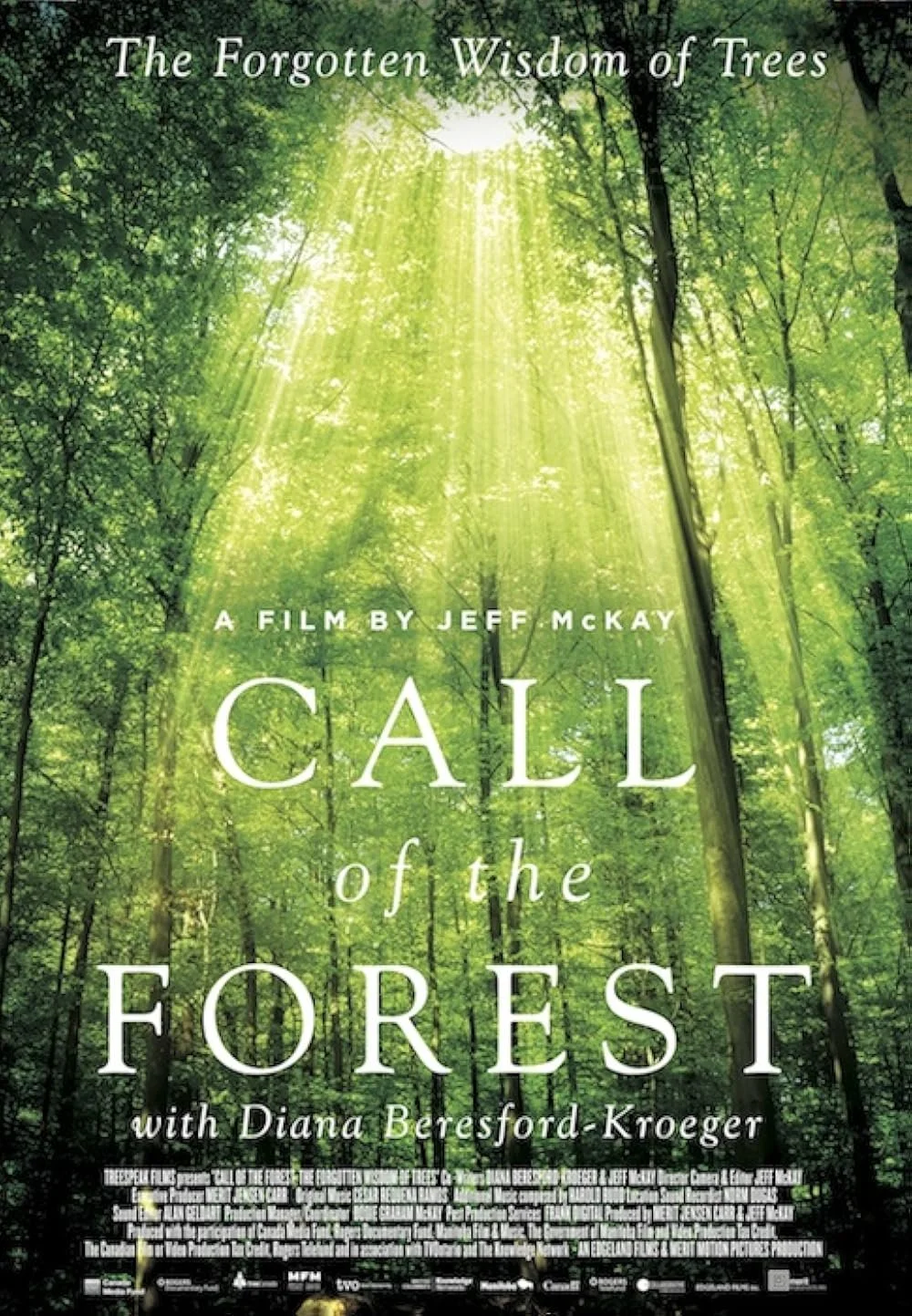 Call Of The Forest