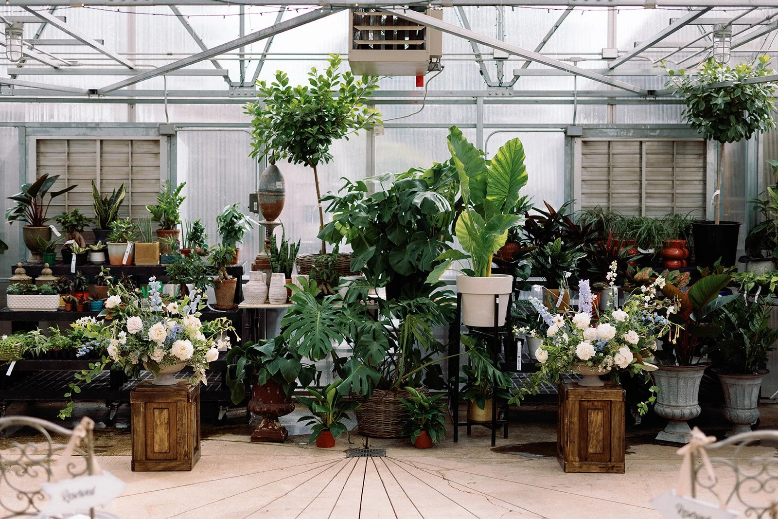 Interior of a greenhouse with various potted plants and flower arrangements.