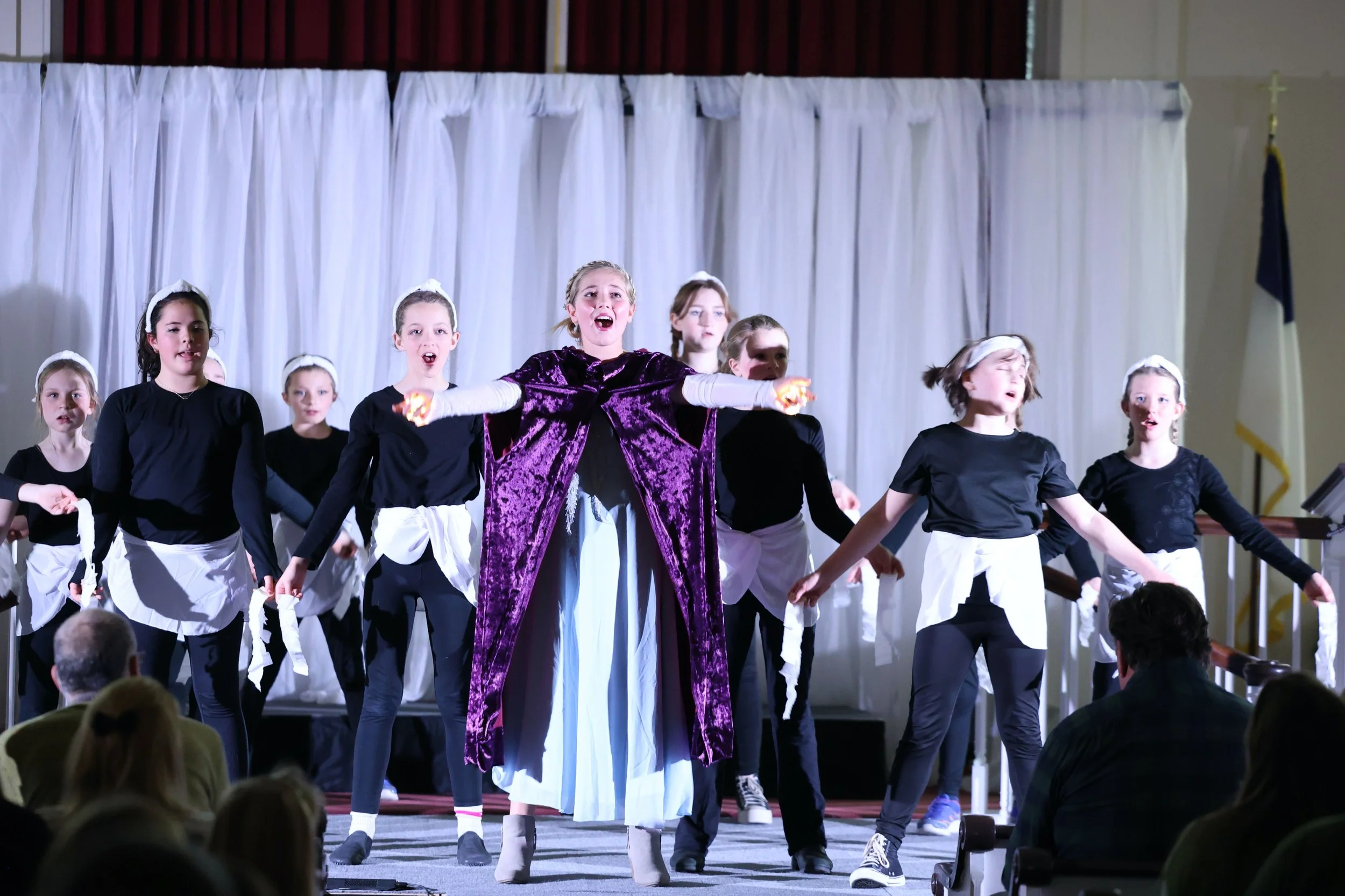 Frozen, goes under Arts Initiative.jpeg