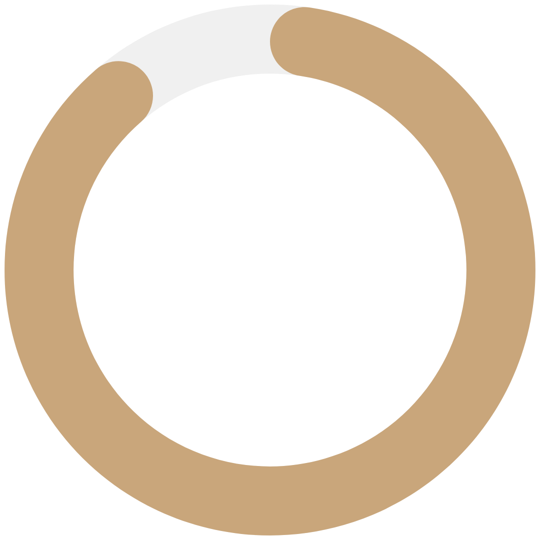 Circular progress indicator showing 91% with a beige outer ring and a black inner circle.