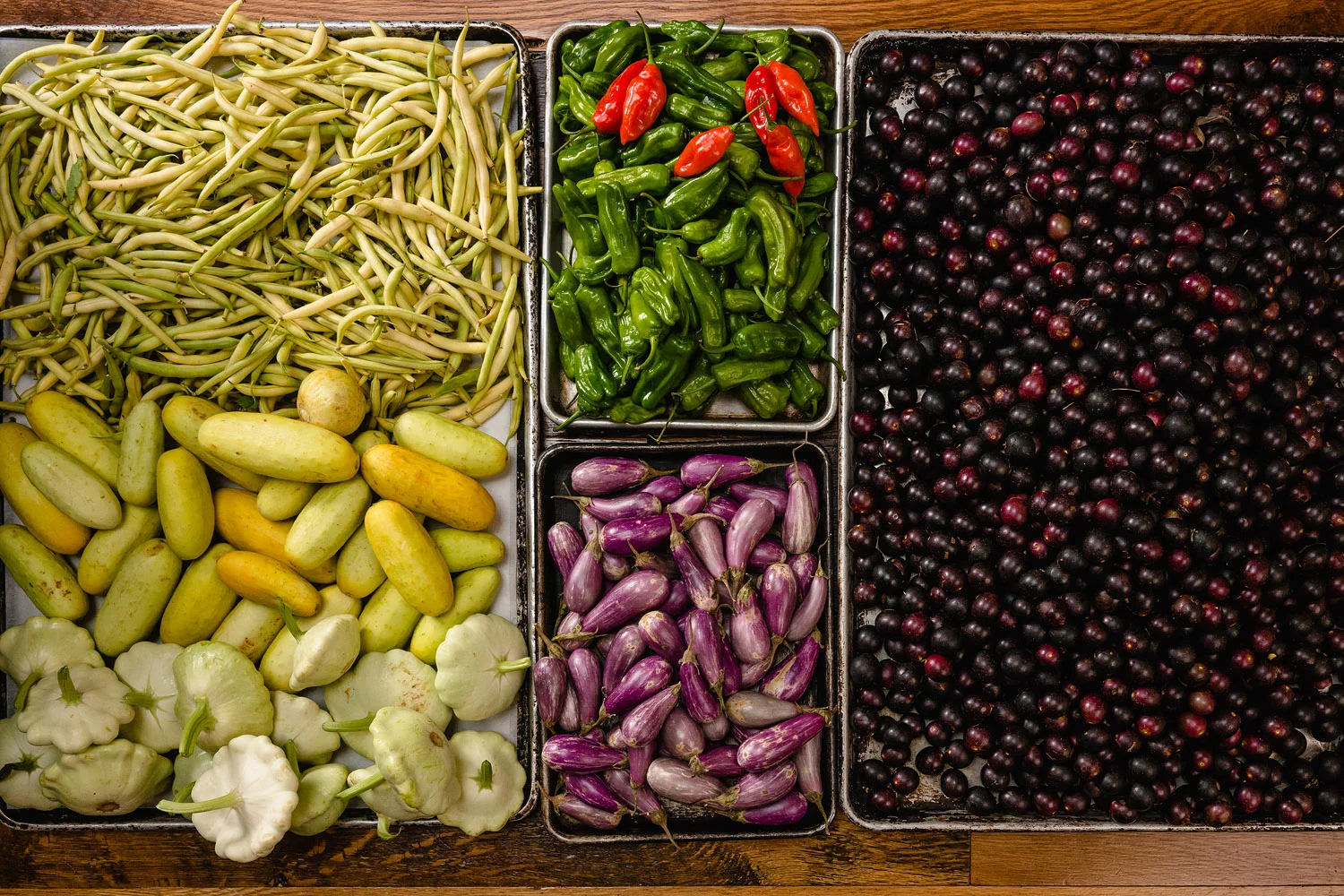 hales photo-atlanta commercial photography advertising photographers-4015.jpg