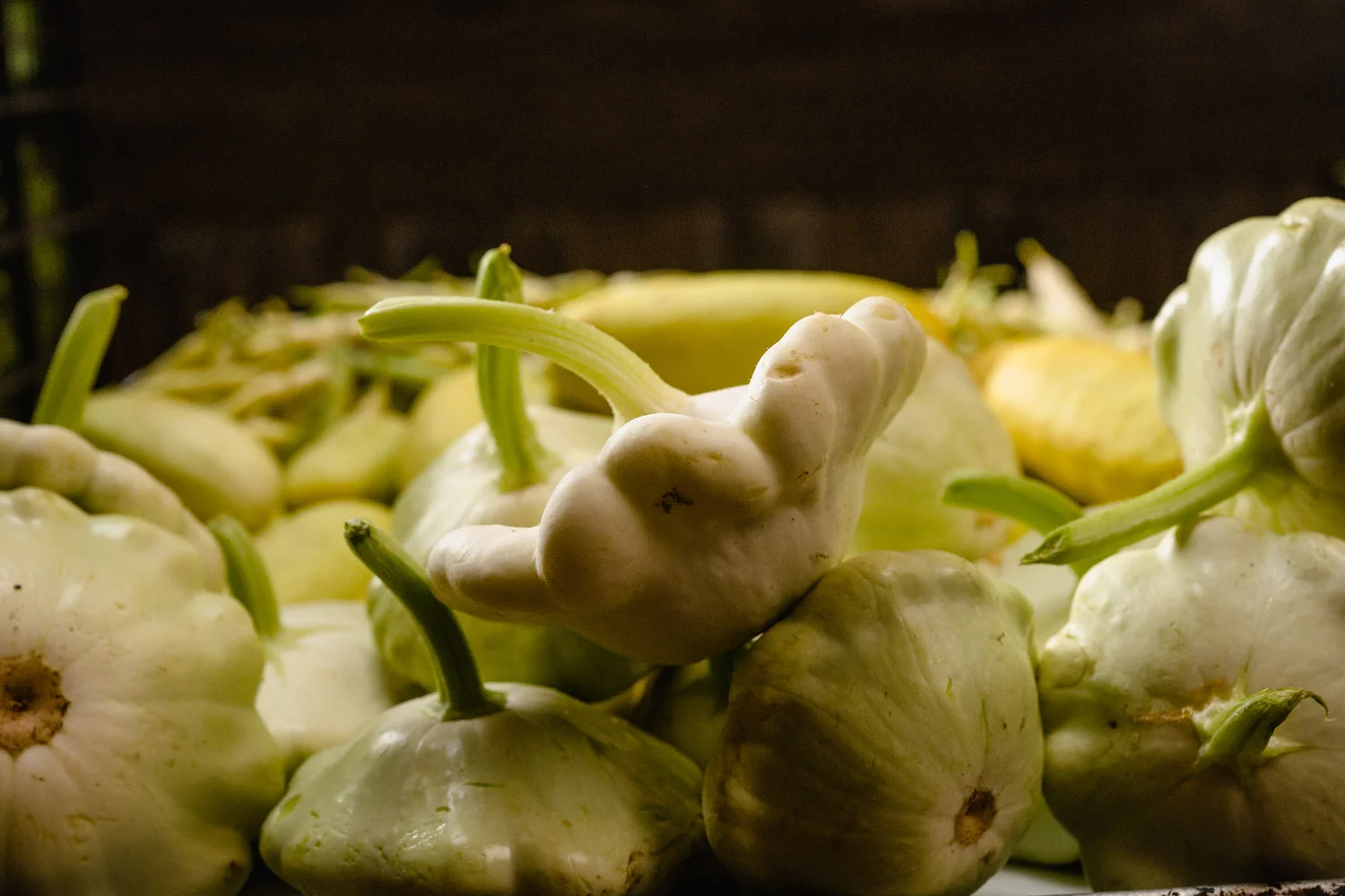 hales photo-atlanta commercial photography advertising photographers-4012.jpg