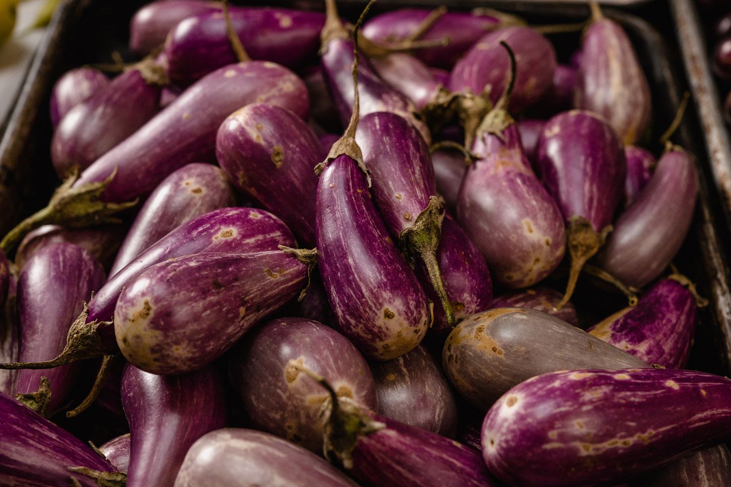 hales photo-atlanta commercial photography advertising photographers-4011.jpg