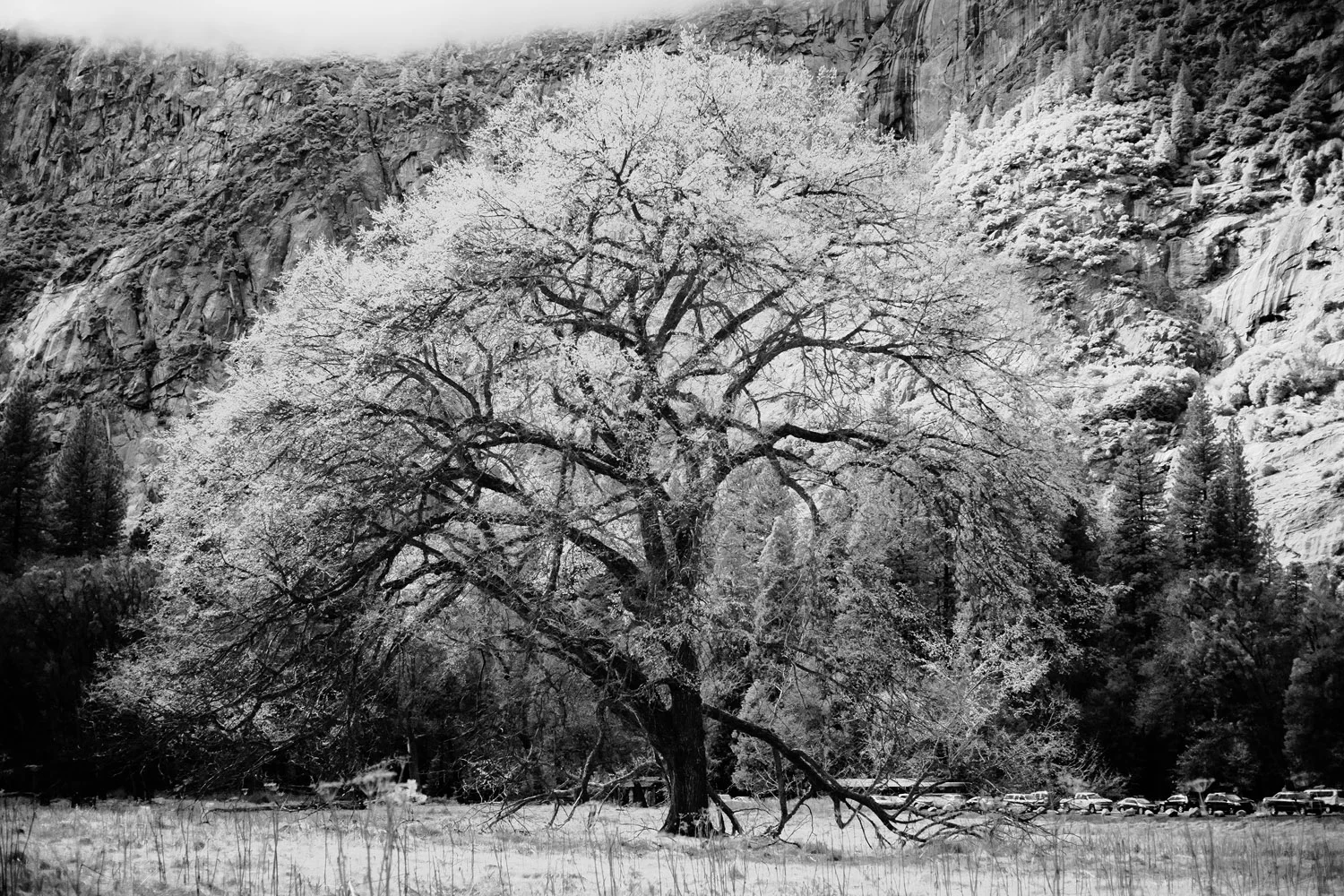 atlanta commerical photographer travel photography california 1018.jpg