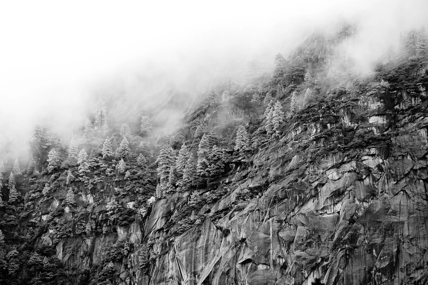 atlanta commerical photographer travel photography california 1010.jpg