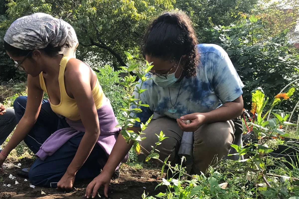 If Farm School NYC Closes, What Will the City Lose?