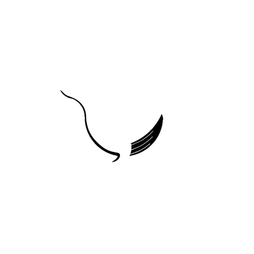 Logo of Misty Whale featuring a stylized whale with a starry night sky and moon inside its body, with the text 'Misty Whale' below in bold letters.