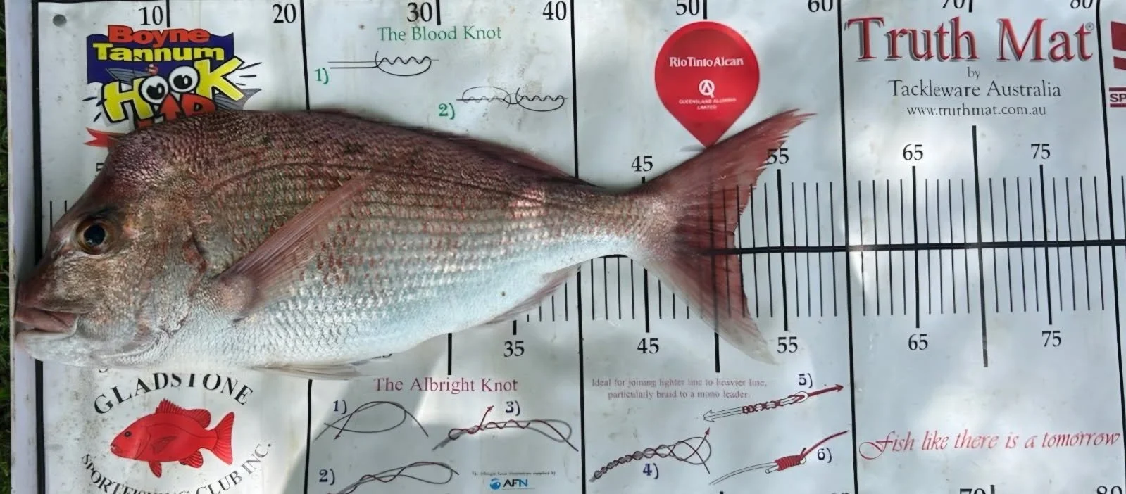 A fish placed on a measuring mat with various graphics and text, including brand logos, knots, and fishing-related quotes.