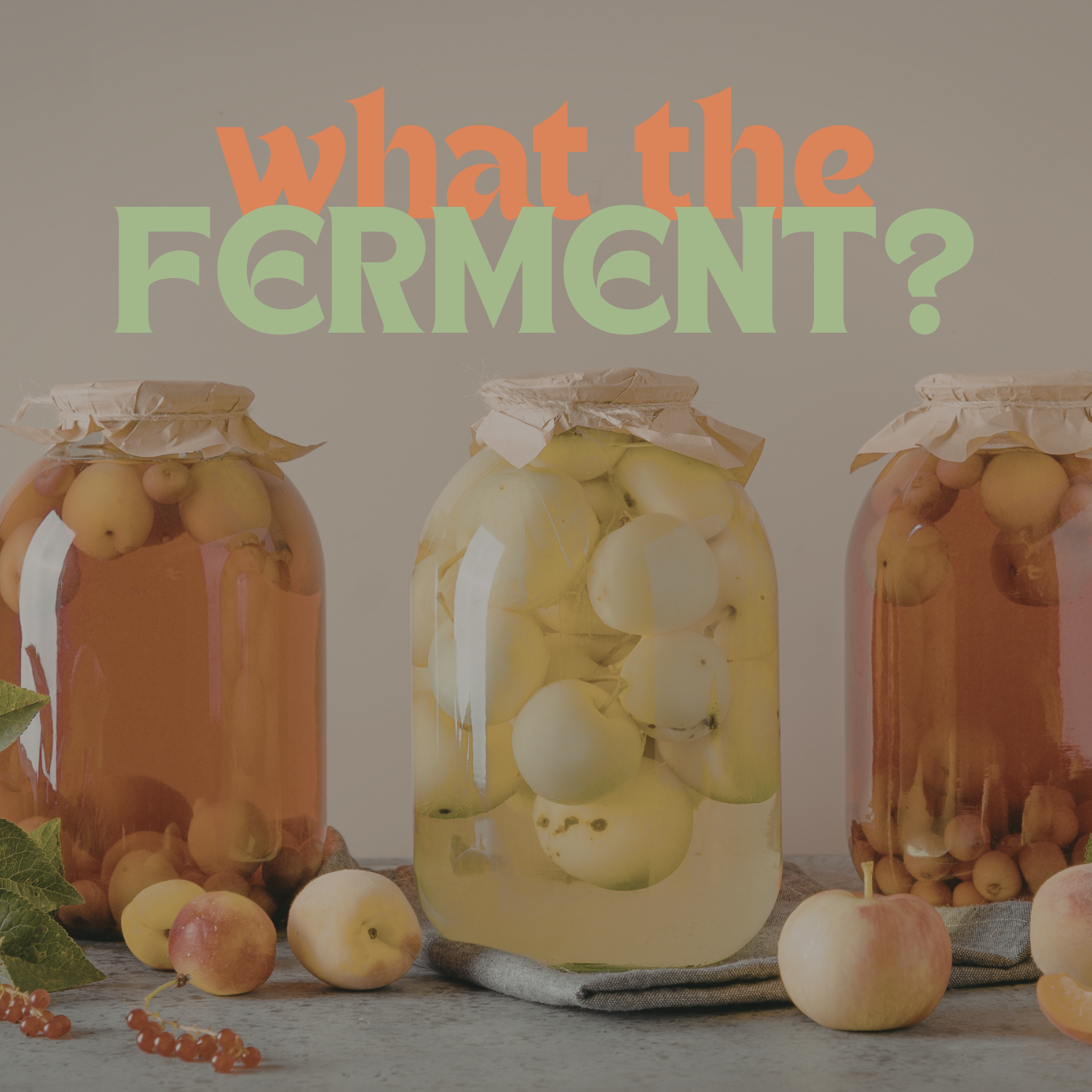 What the Ferment?