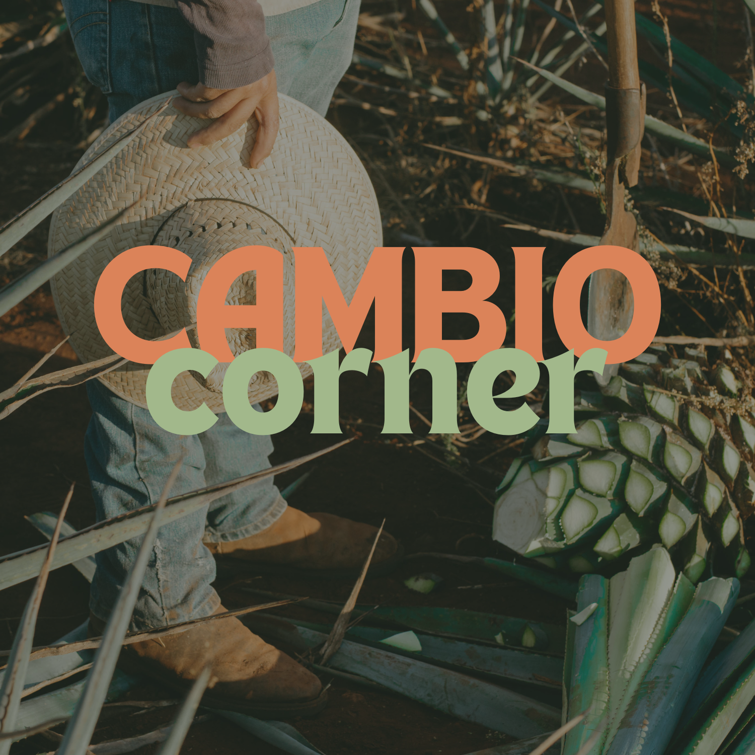 Cambio Corner with Patric