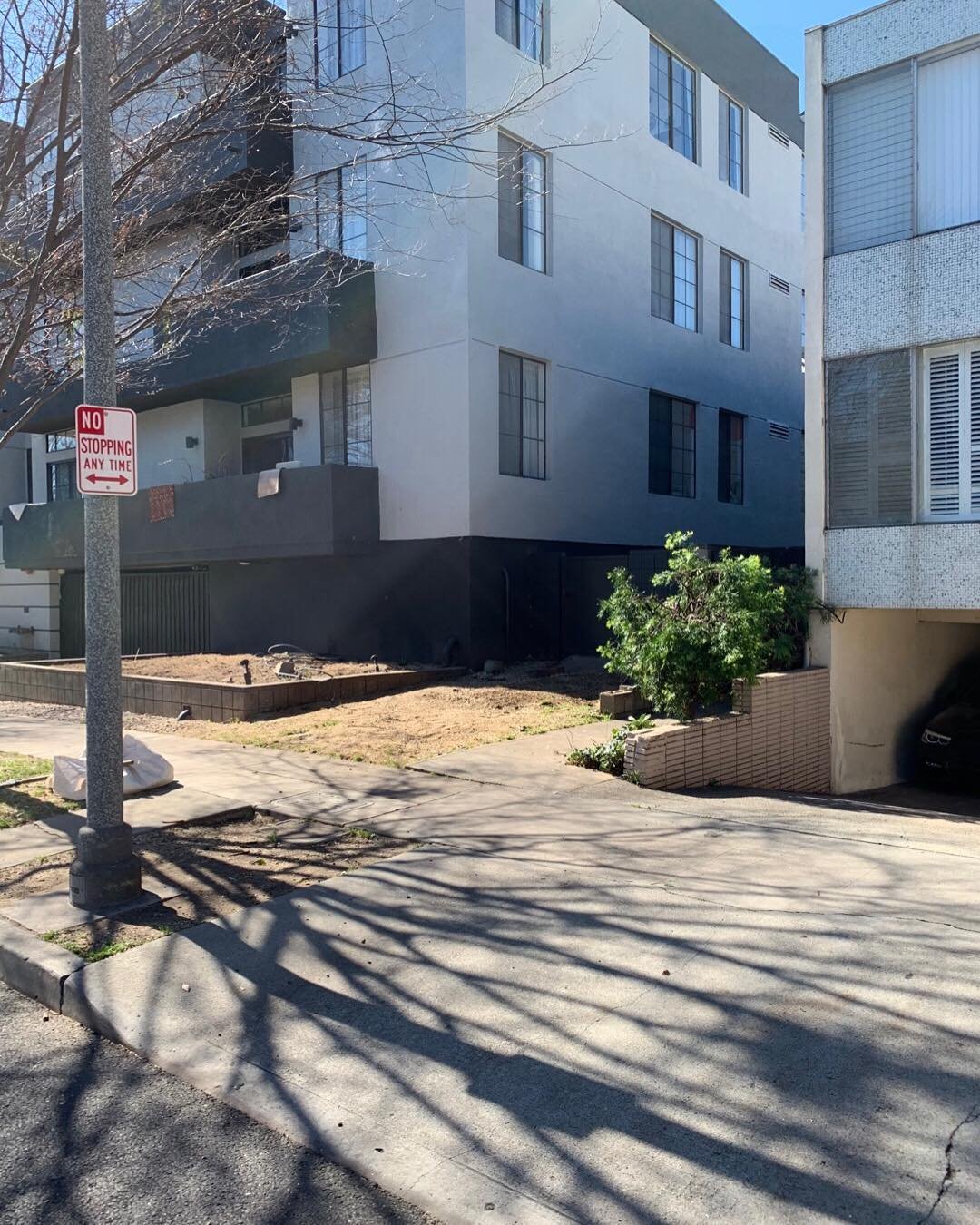 What tree? 🧐
•
•
•
•
•
#ramtreeservice #treeremoval #southerncalifornia #familybusiness #treecare #arborist