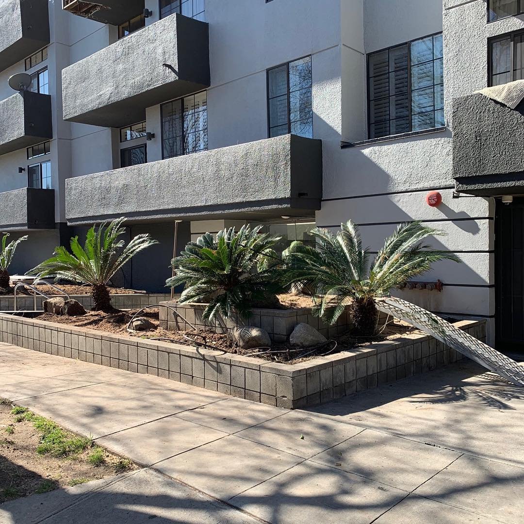 It’s amazing the transformations that can be made with landscaping and paint. •
•
•
•
•
#ramtreeservice #treeremoval #southerncalifornia #familybusiness #treecare #arborist
