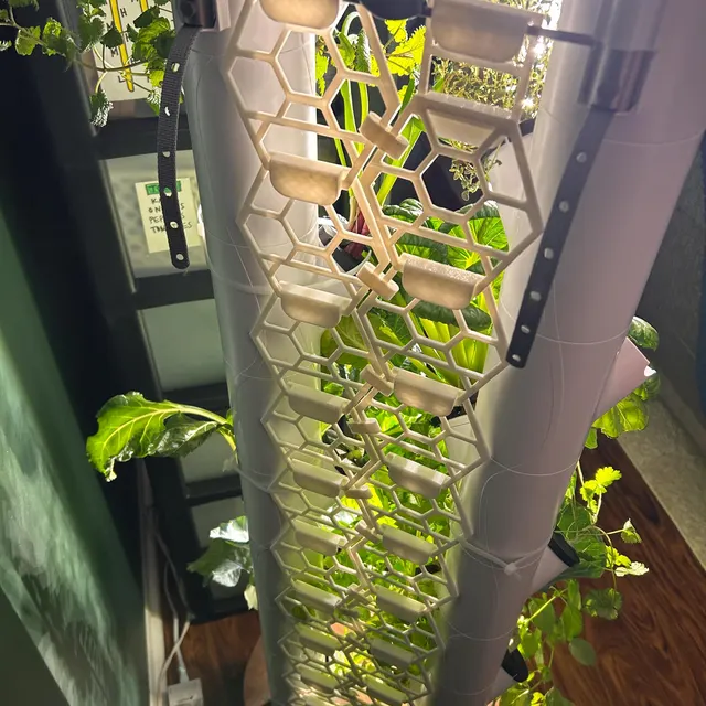 Trellis2.png