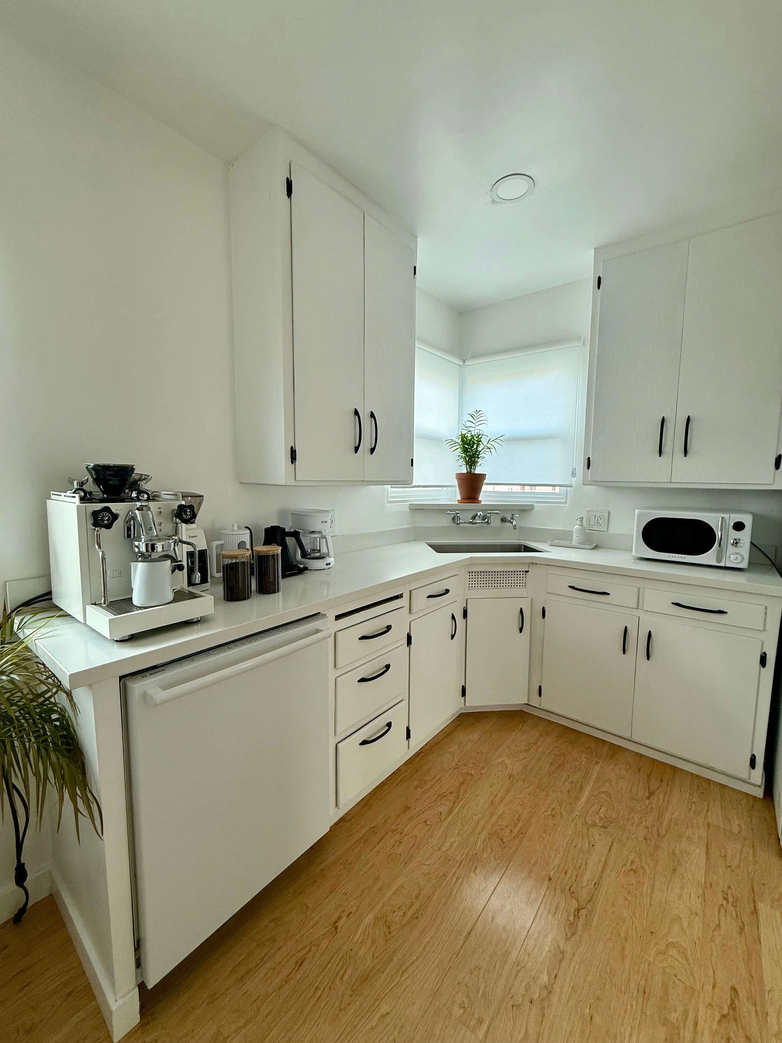 Newly renovated white kitchen at 6605 & 6603 4th Ave in Hyde Park with wood floors, white cabinetry and plants in the corner window.
