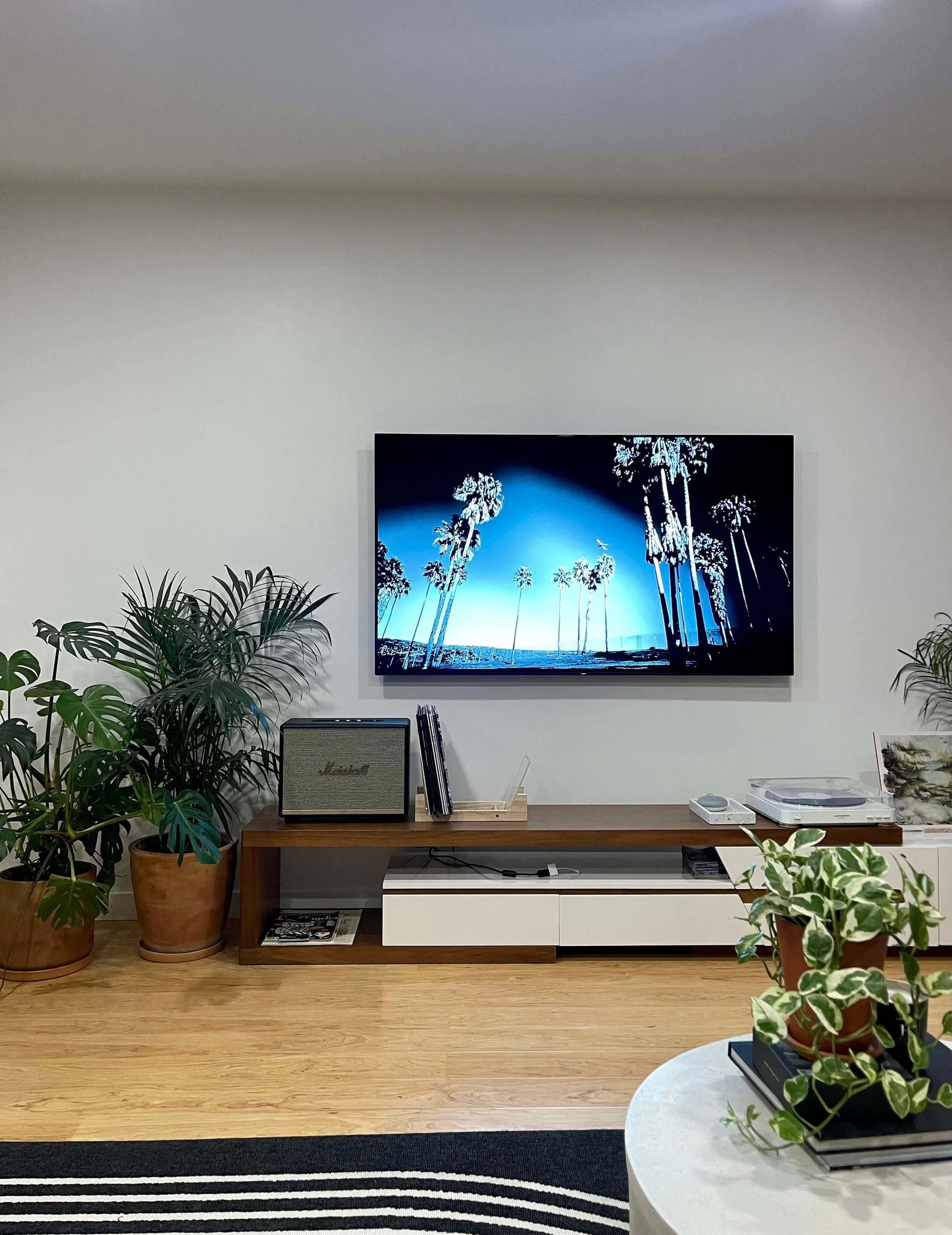 Interior living room at 6605 & 6603 4th Ave in Hyde Park featuring plants, wood flooring, wood tv stand, marble coffee table and plasma flat screen on a white wall.