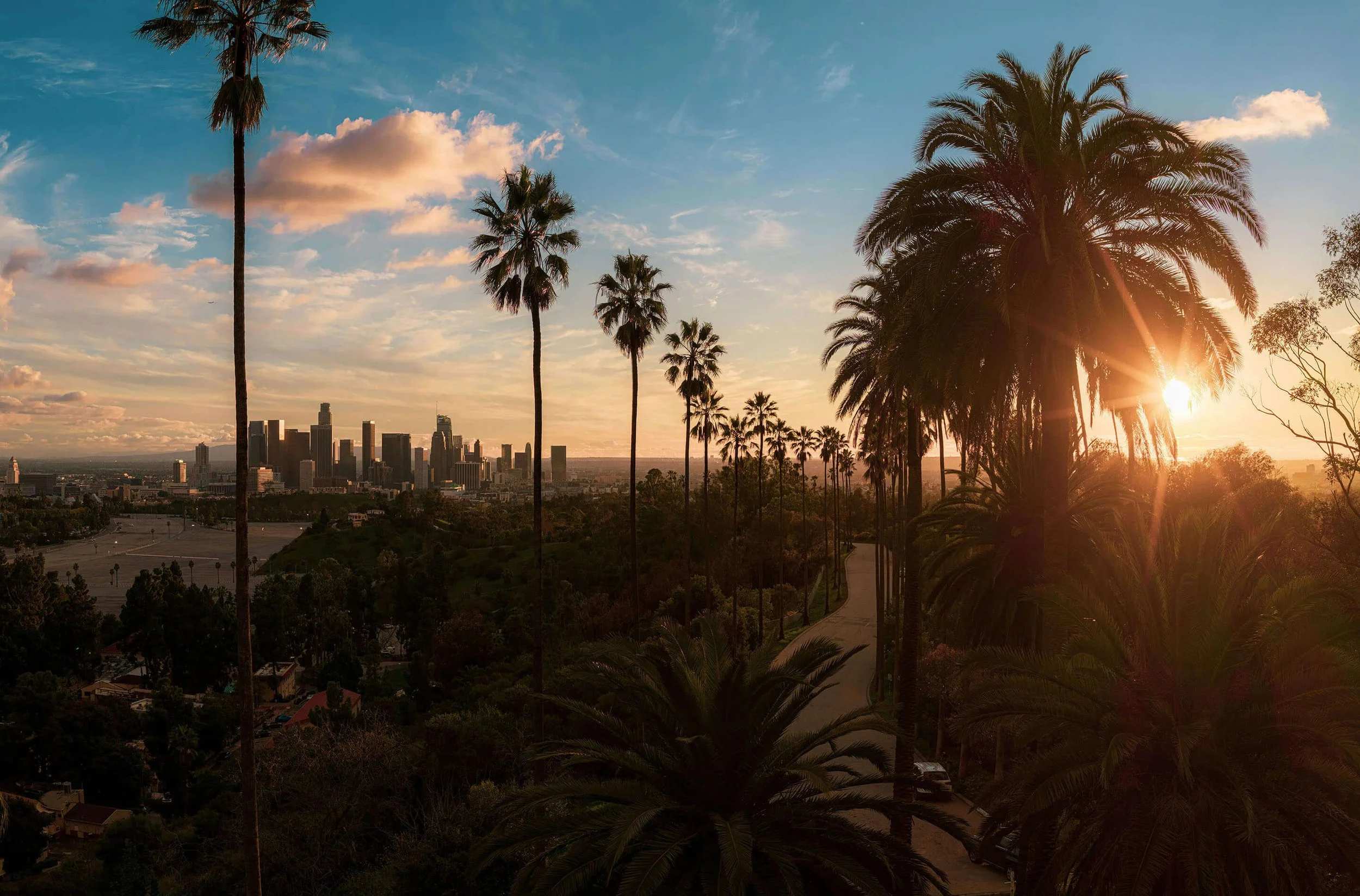 City skyline of Southwest LA with tall palm trees and a sunset sky with orange and blue clouds.