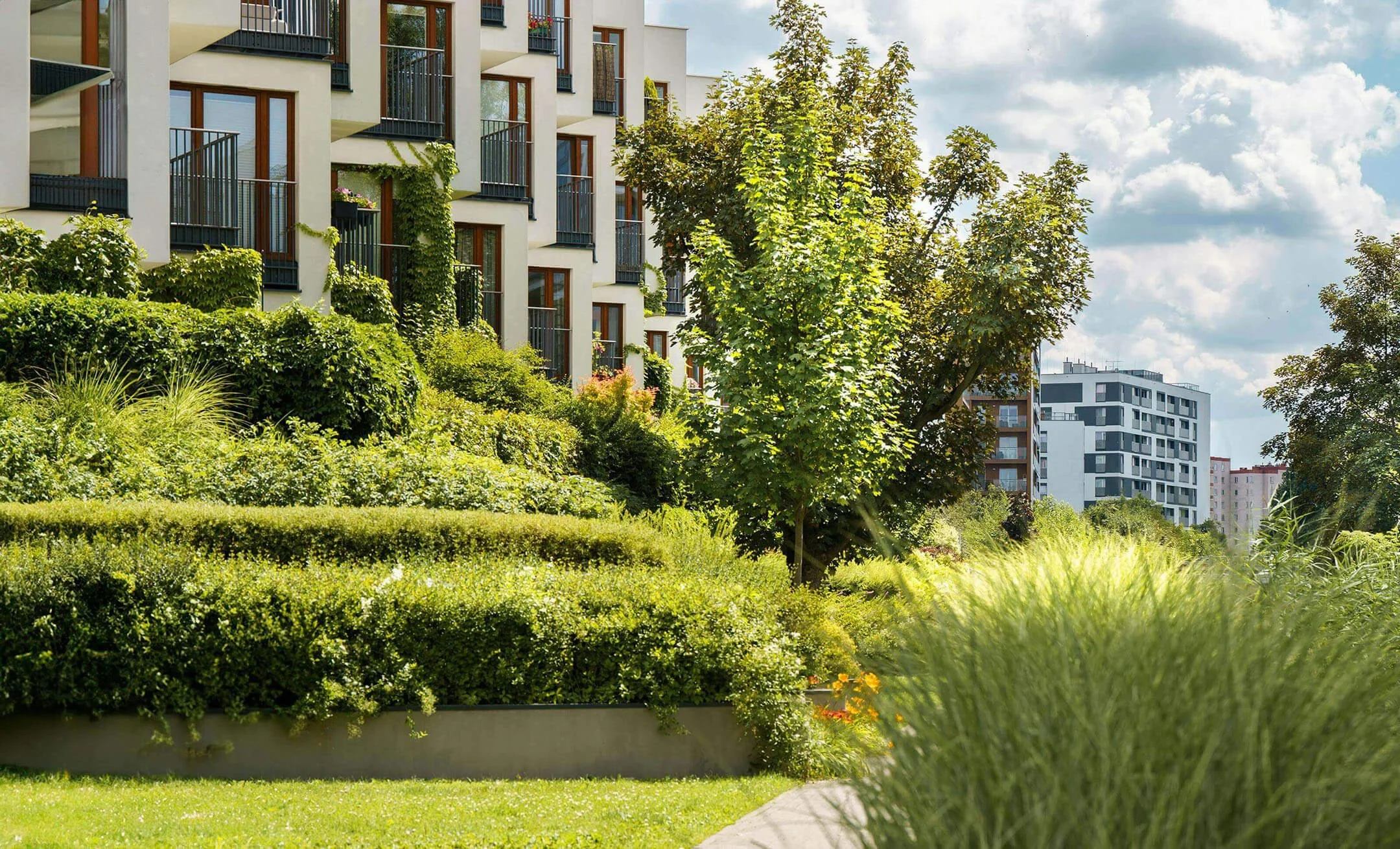 Newly build infill development featuring beige apartments, lush greenery and lots of natural sunlight.
