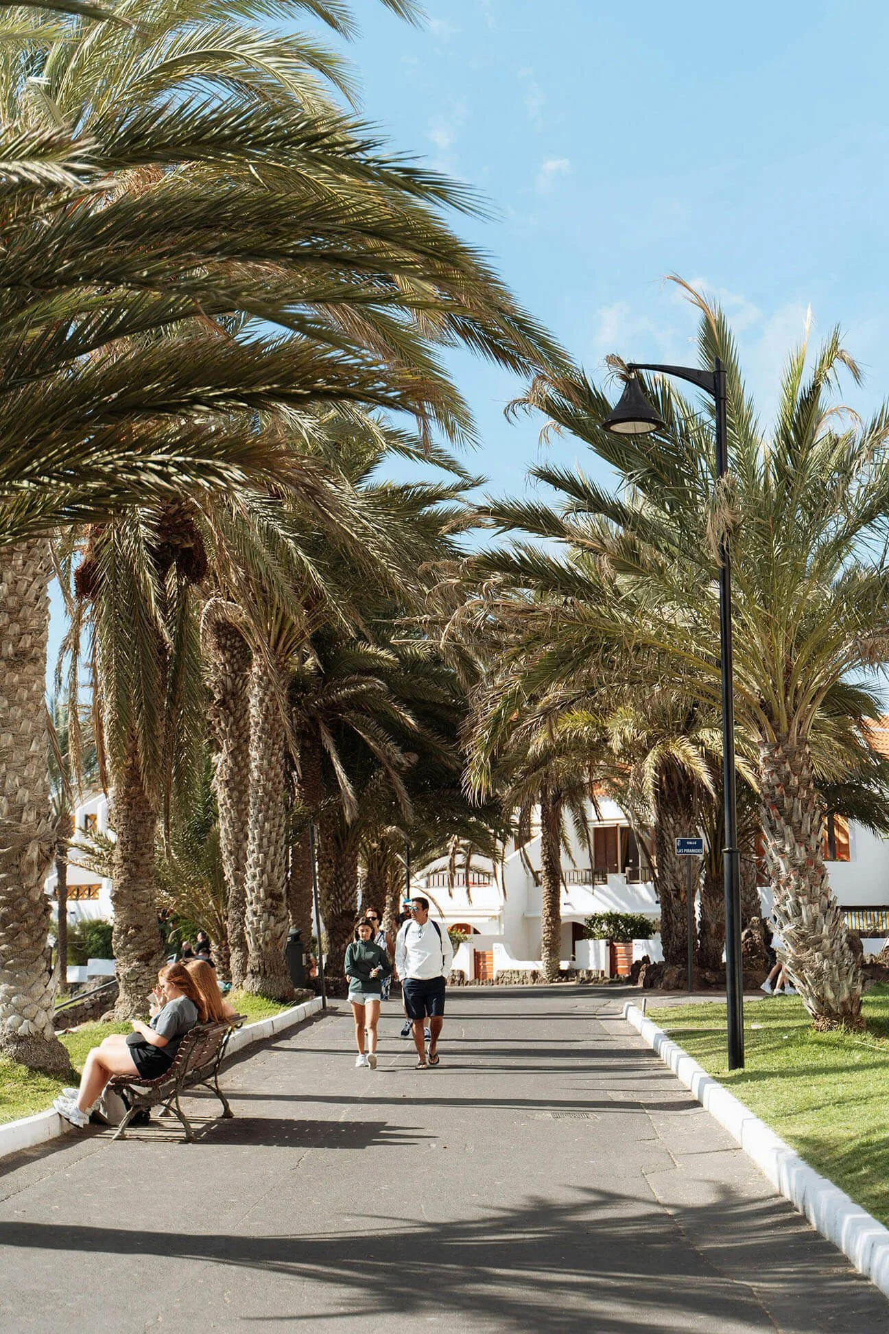 Promenade image of Southwest LA residents walking on a bright sunny day.