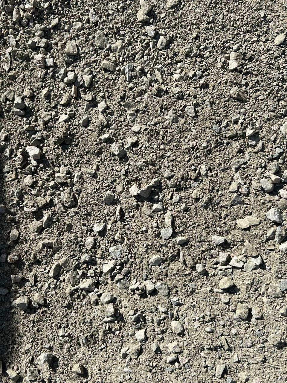Solo de terra com pedras pequenas e médias espalhadas.
