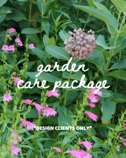 Garden Care Package - Summer through Frost