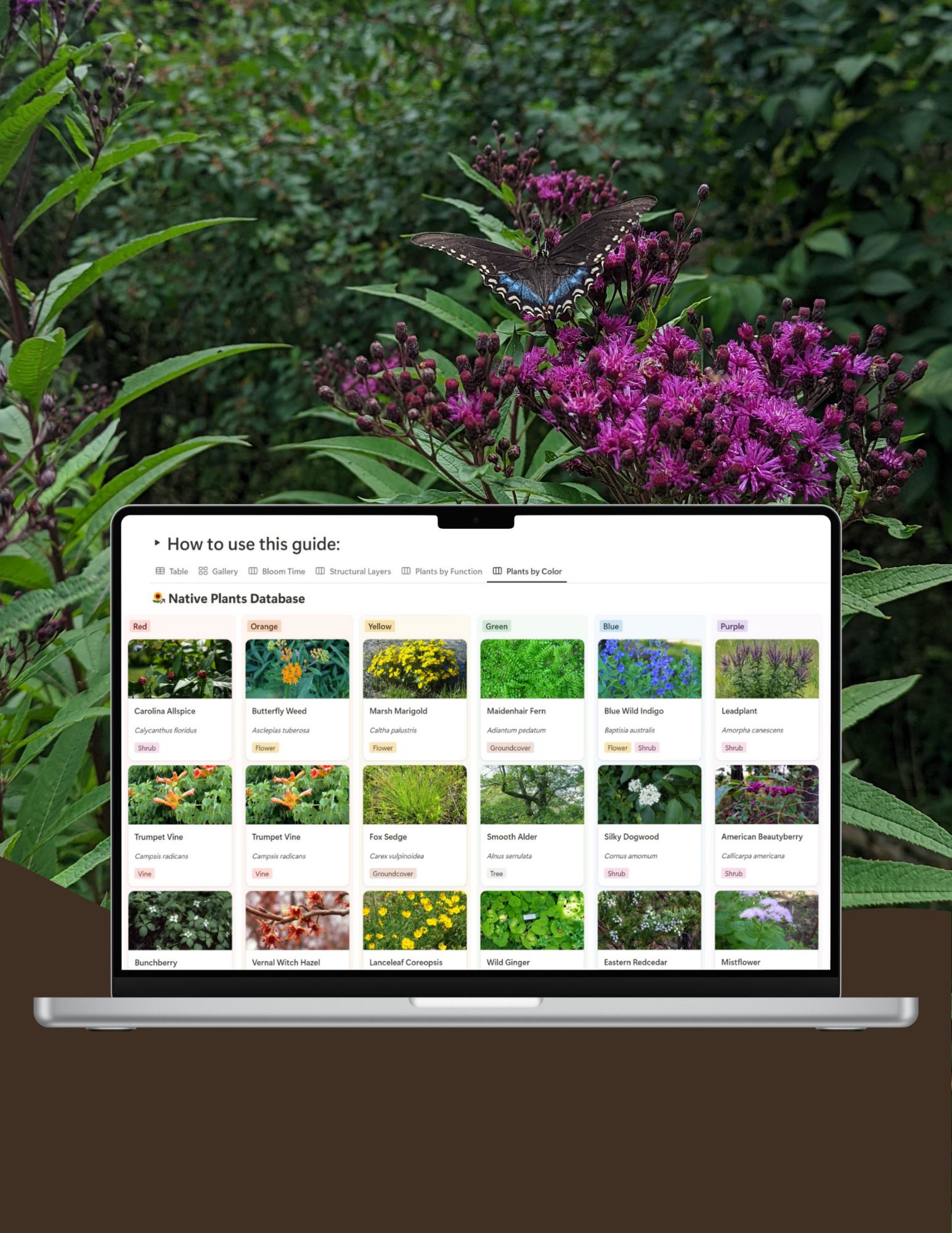 Digital Guide to Native Plants Garden Revolution