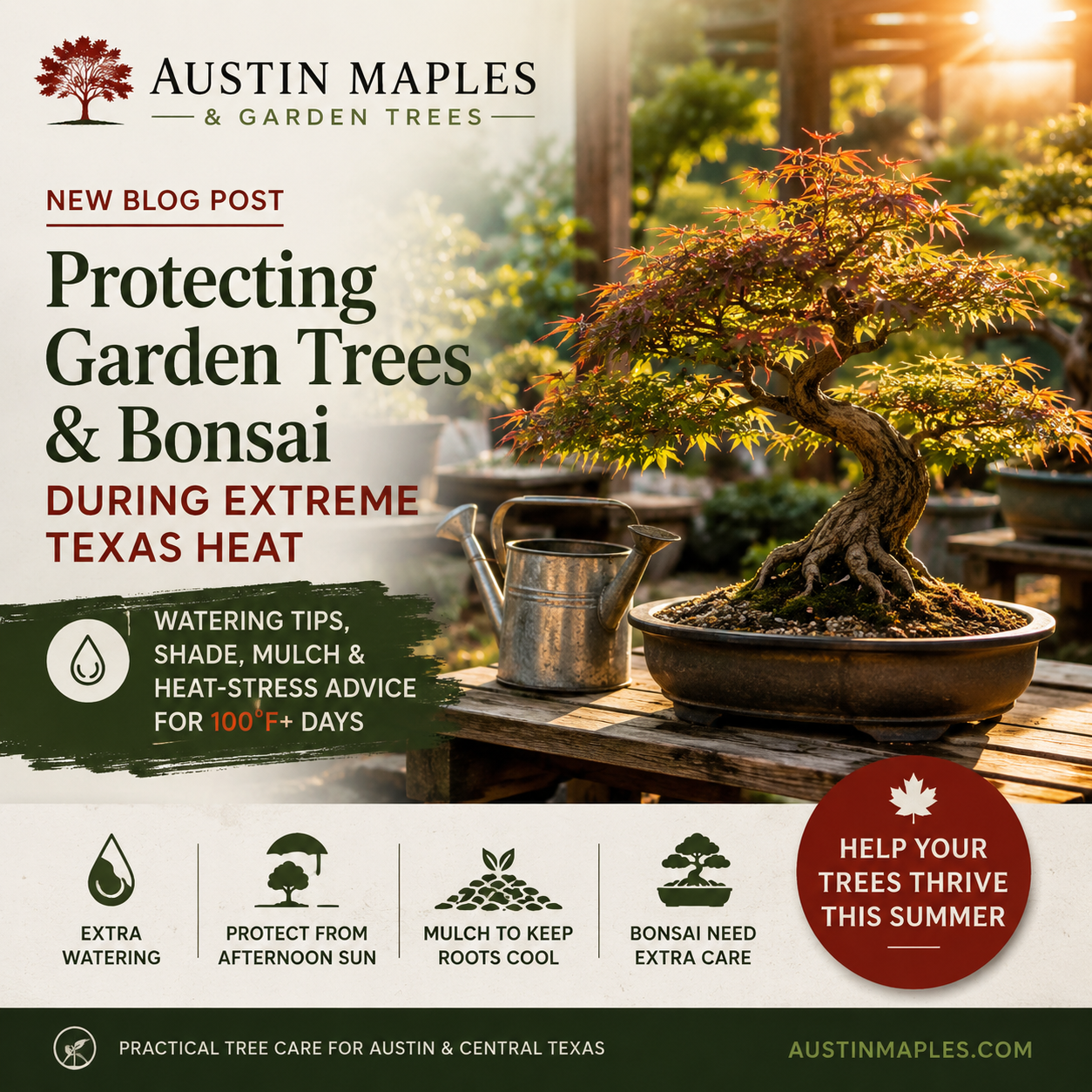 Protecting Garden Trees &amp; Bonsai During Extreme Texas Heat