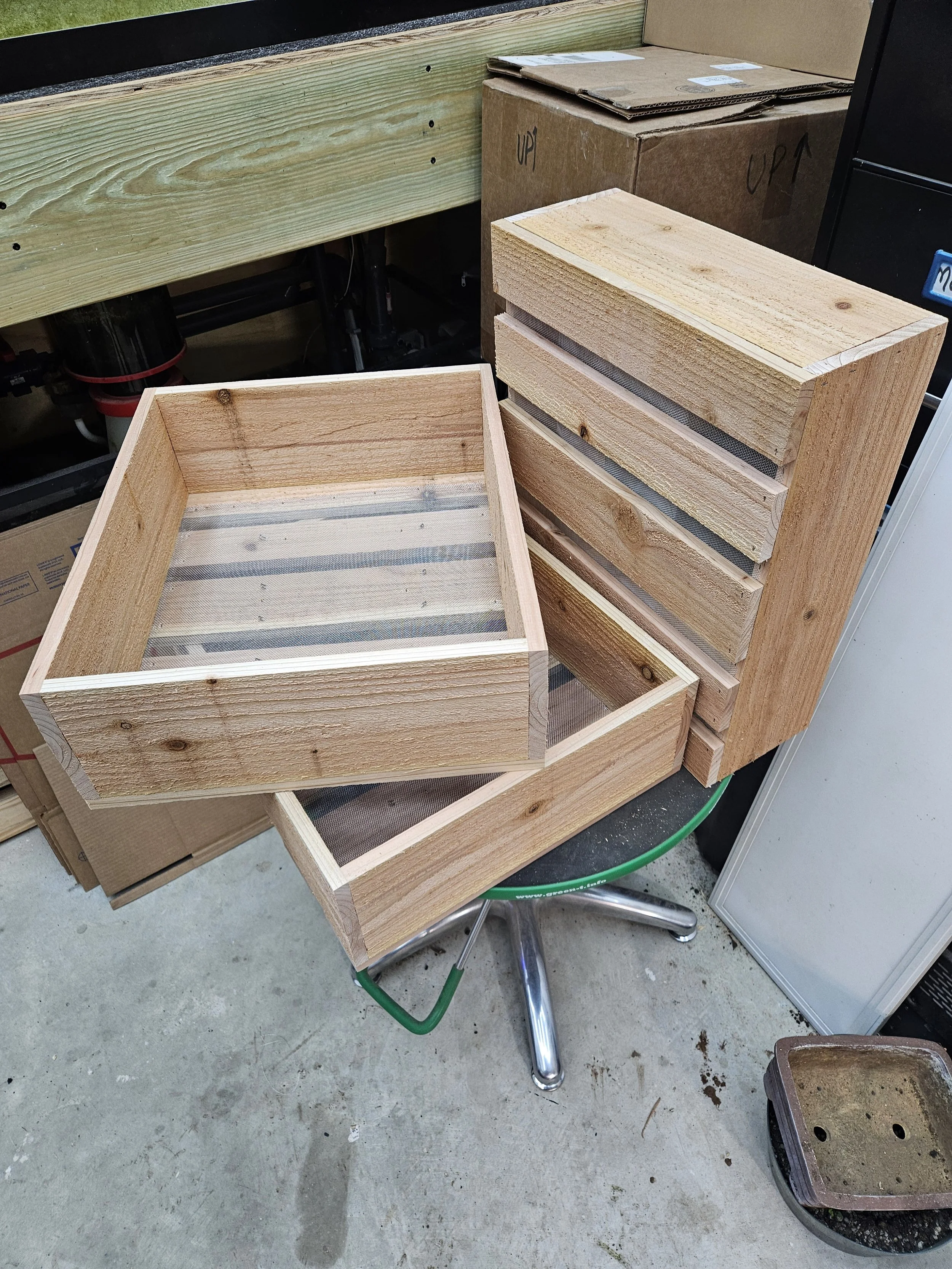 Handmade cedar bonsai grow boxes showing slatted bottoms and drainage screen construction