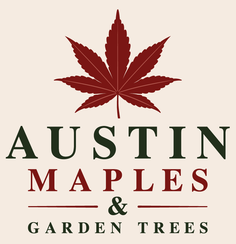 Austin Maples &amp; Garden Trees