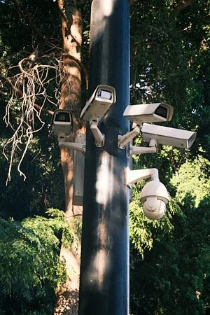 DSCF9531.jpg