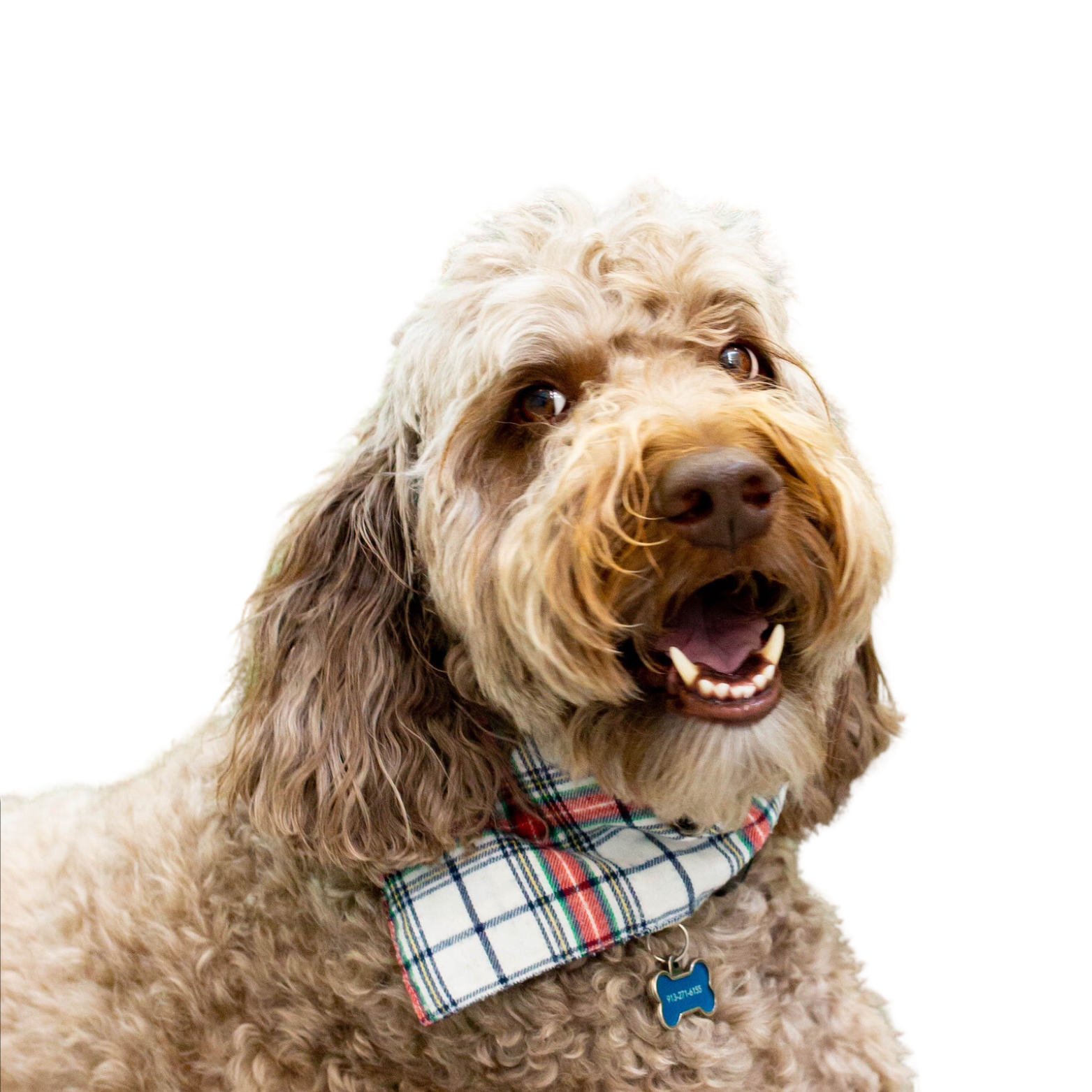 Outsourcing Technology Kansas City PurposeTG