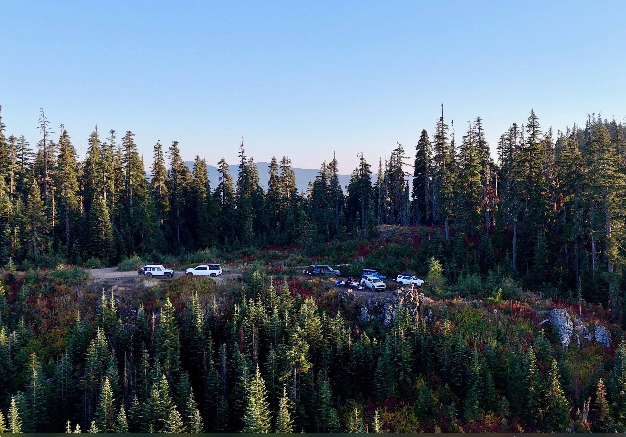 IMG_20250930_132803 (2).jpg