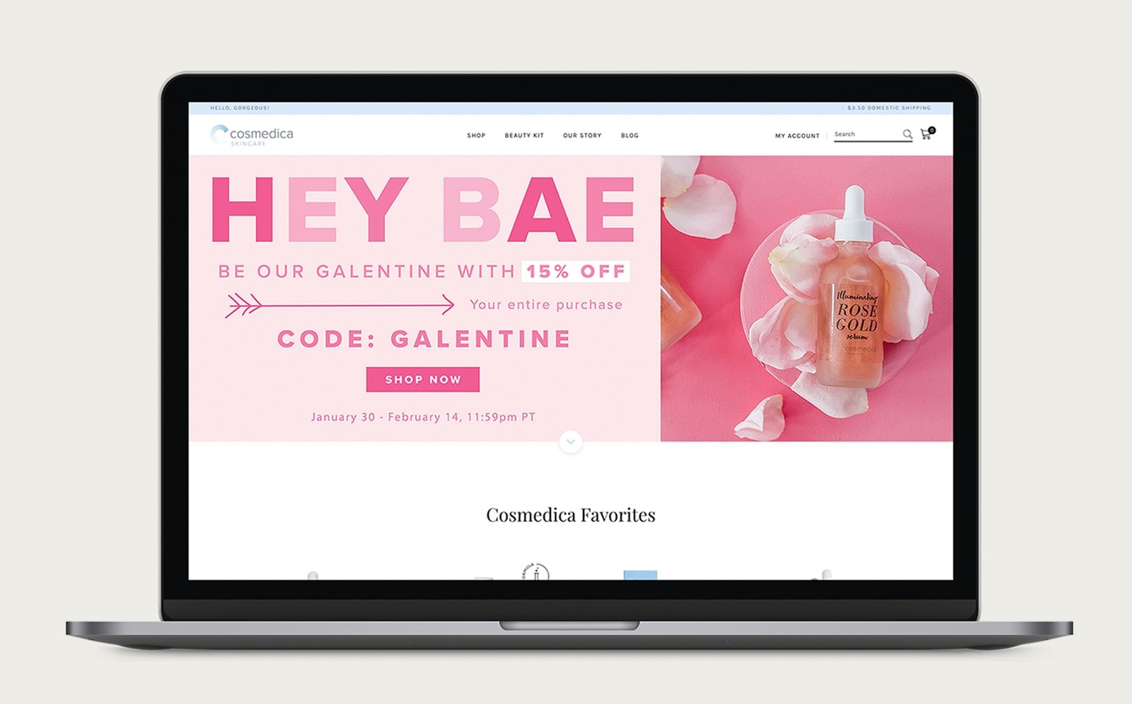 Laptop mockup of website