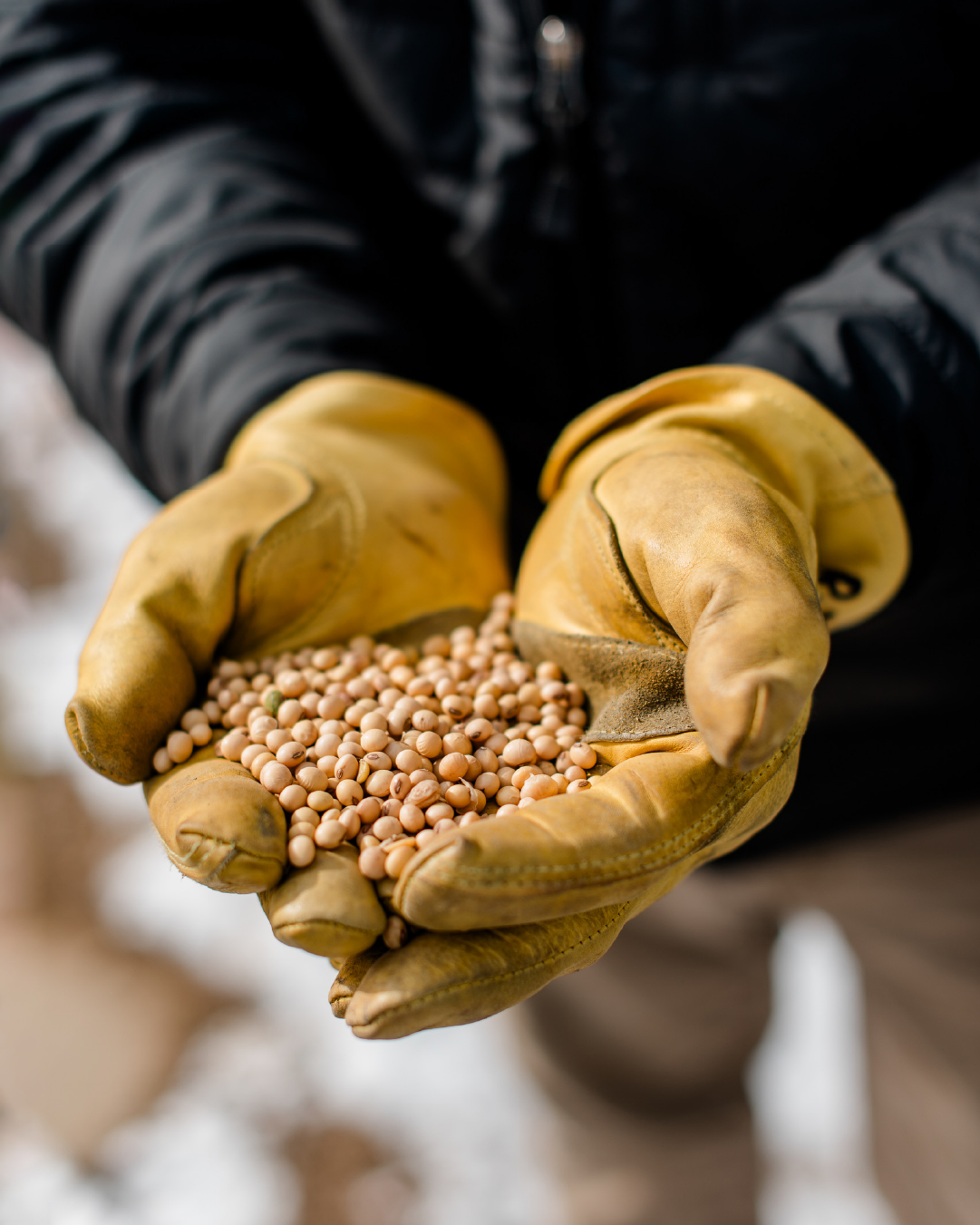 HFT_Bio Fuel 101_Extra Post copy.png