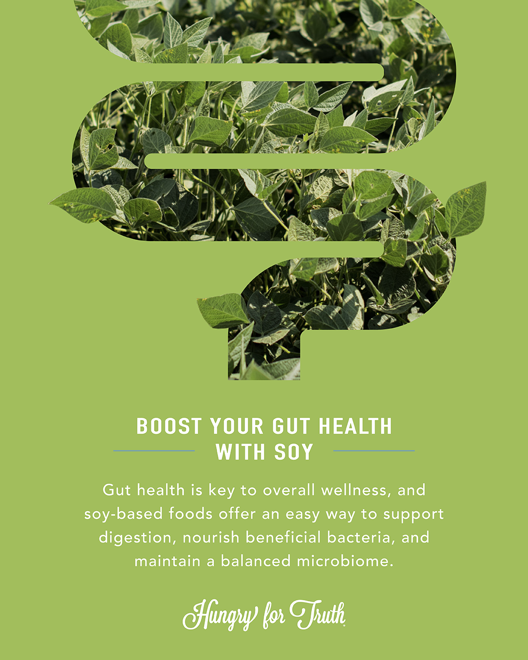 HFT_How Soy Supports a Healthy Gut_extra post.png