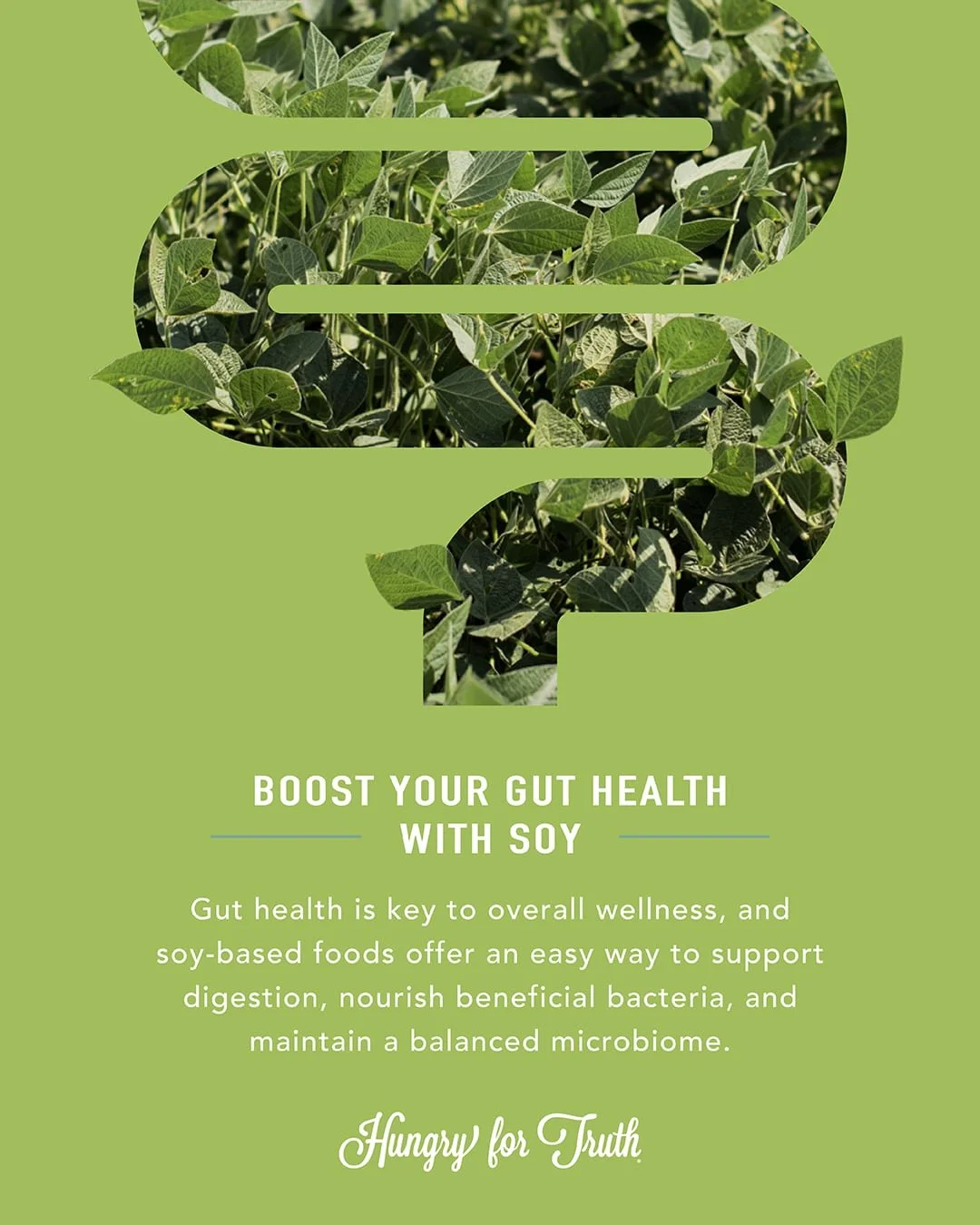 HFT_How+Soy+Supports+a+Healthy+Gut_extra+post_compressed.jpg