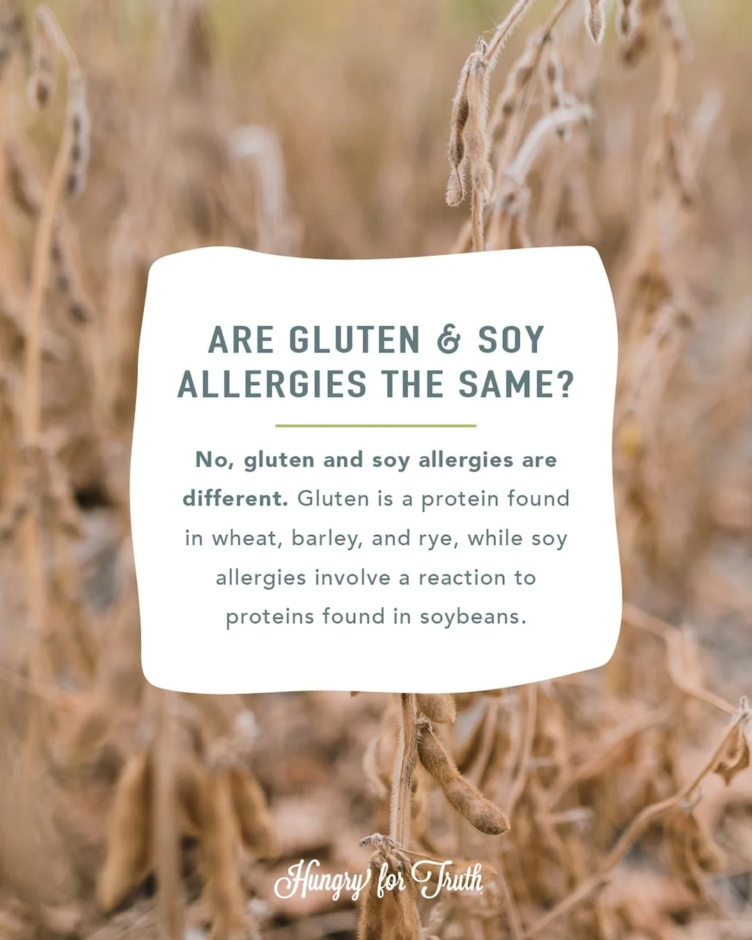 HFT_Is+Soy+Gluten-Free+Yes+It+Is_extra_compressed.jpg