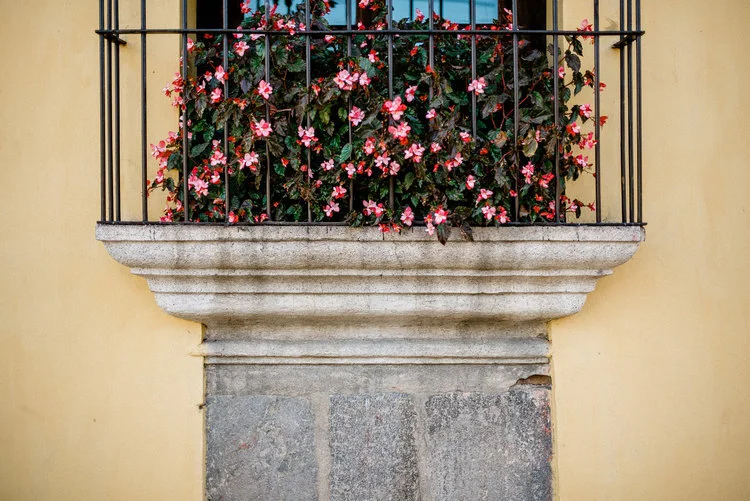 Alma+Guatamalan+2017+Shoot-354.jpg