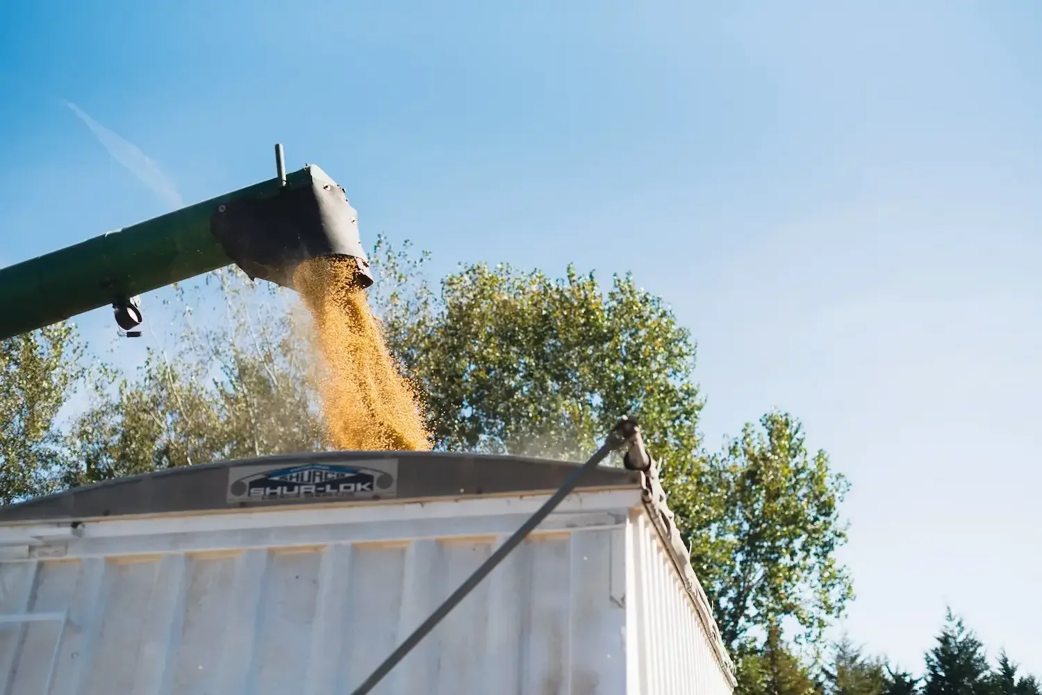 A grain truck being filled with SD Soybeans for Hungry for Truth.