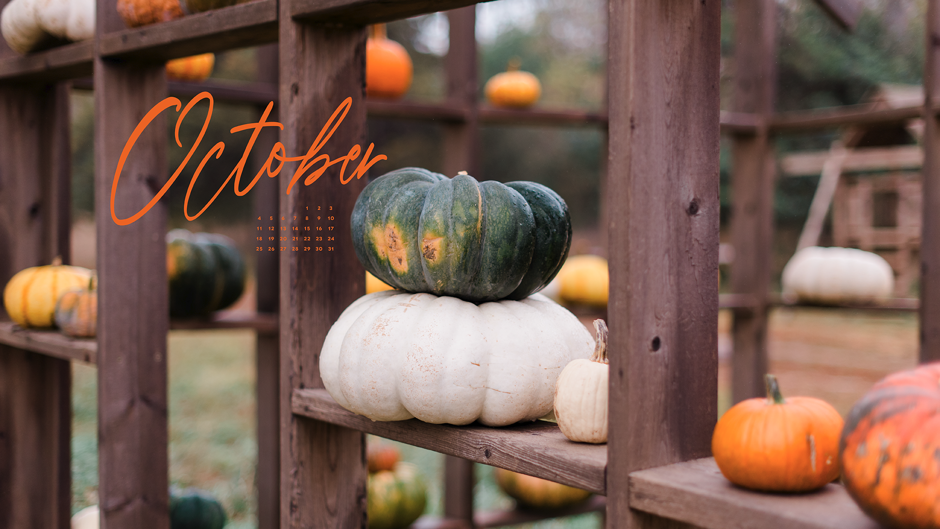 Pumpkins